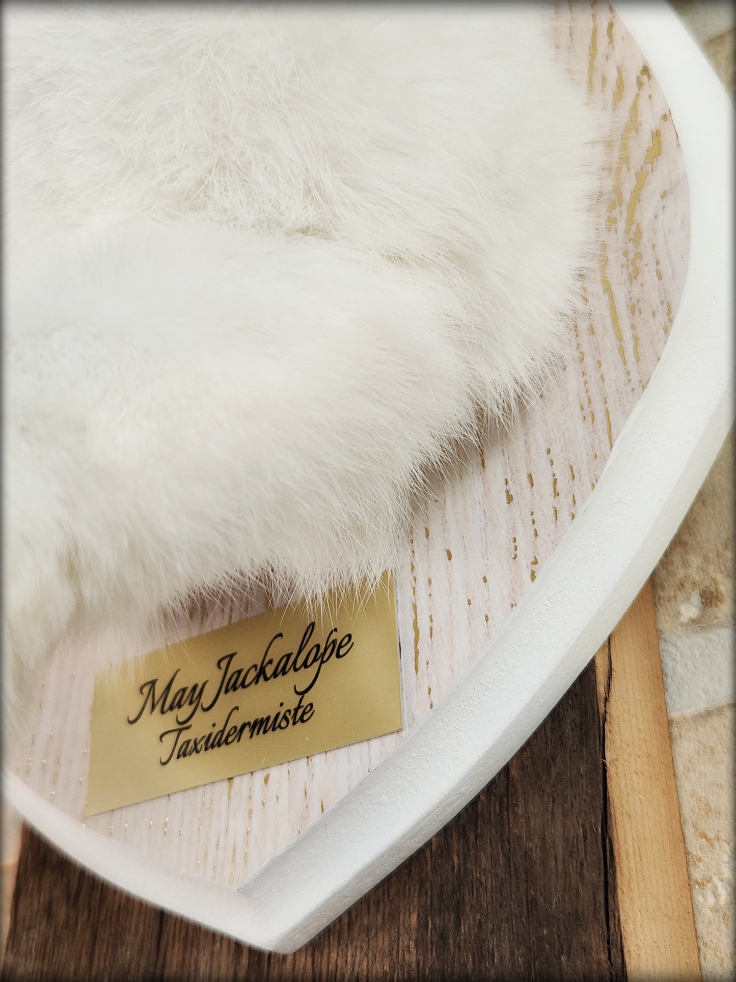 Big white Jackalope taxidermy with teal eyes, real antlers and a necklace