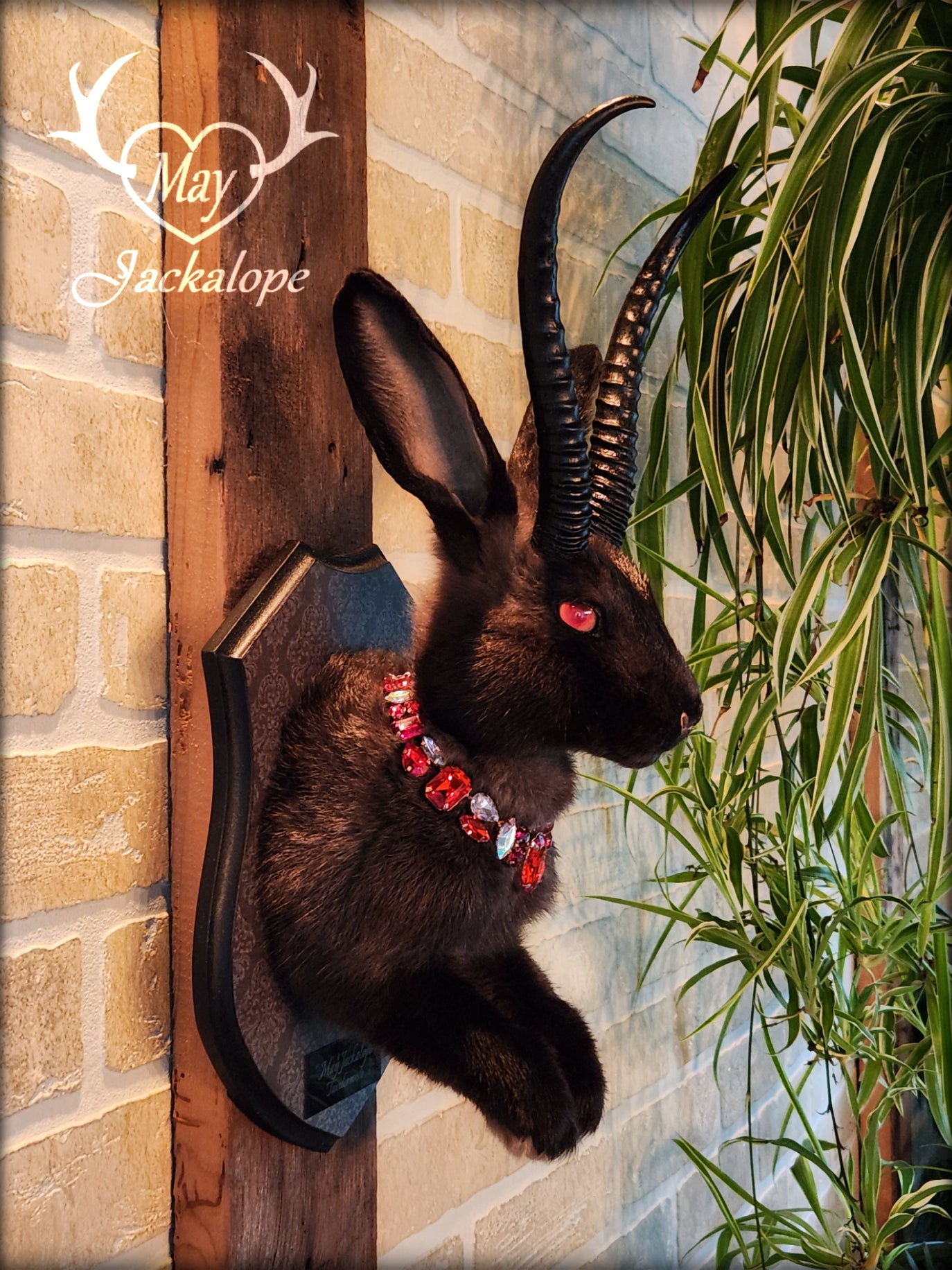 Black Jackalope taxidermy with red eyes, black horns replica & a necklace