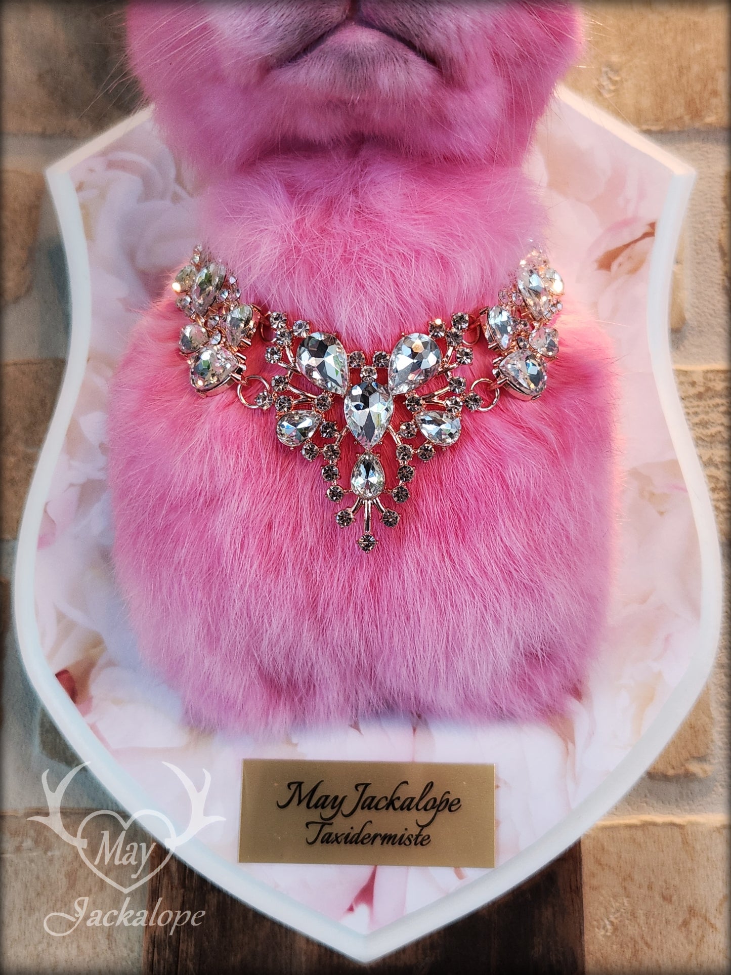 Pink Jackalope taxidermy with real white antlers, pink albino eyes & necklace