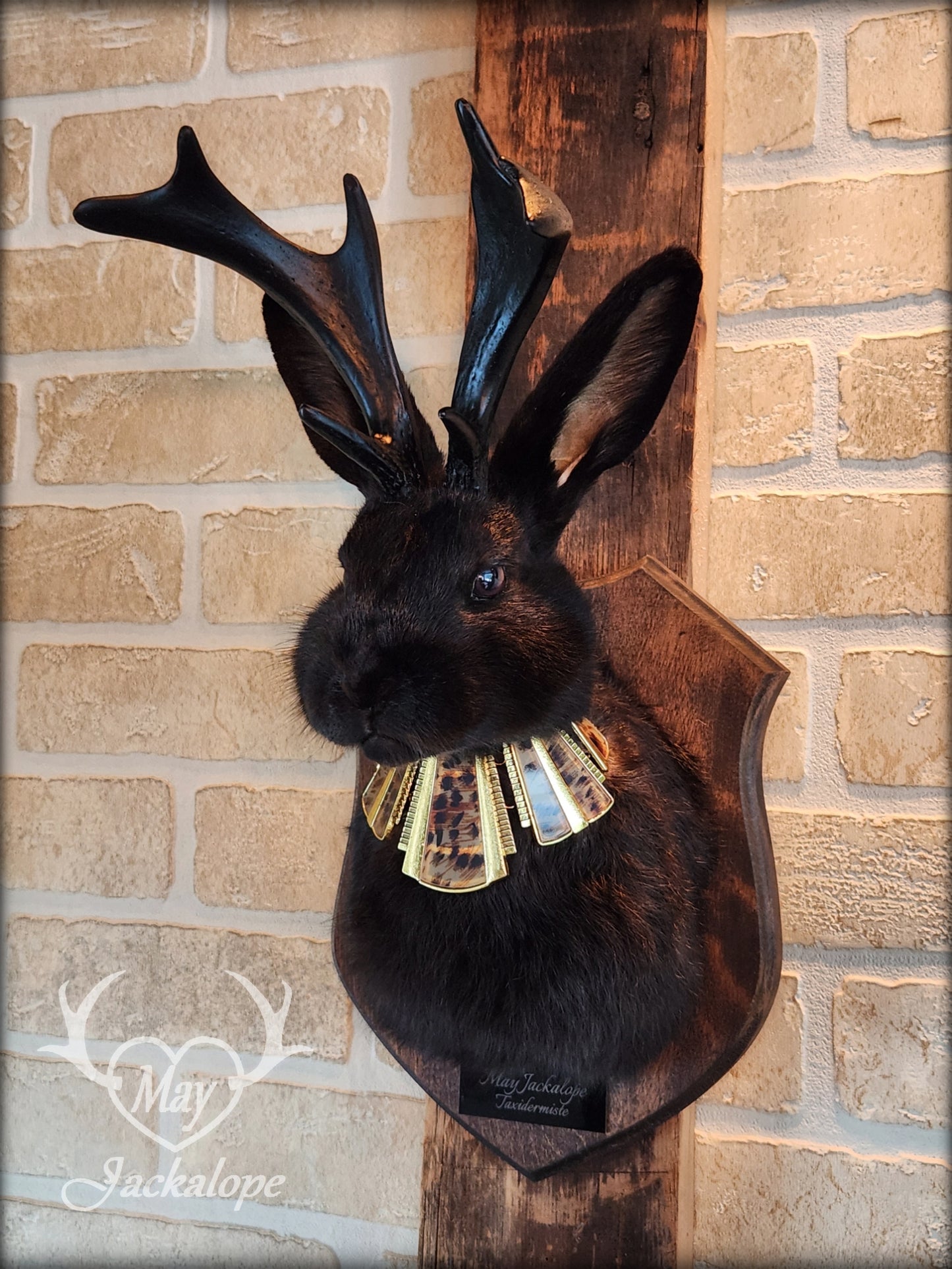 Black Jackalope taxidermy with dark eyes, black antlers replica & necklace.