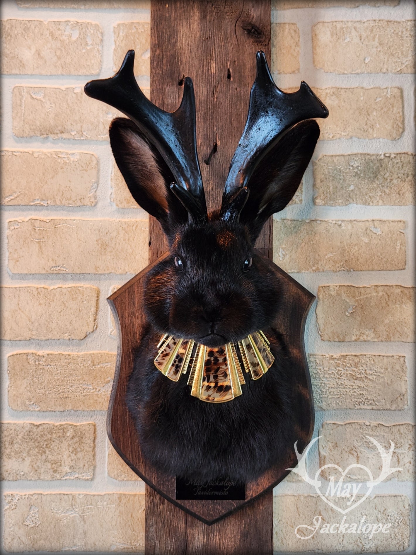 Black Jackalope taxidermy with dark eyes, black antlers replica & necklace.