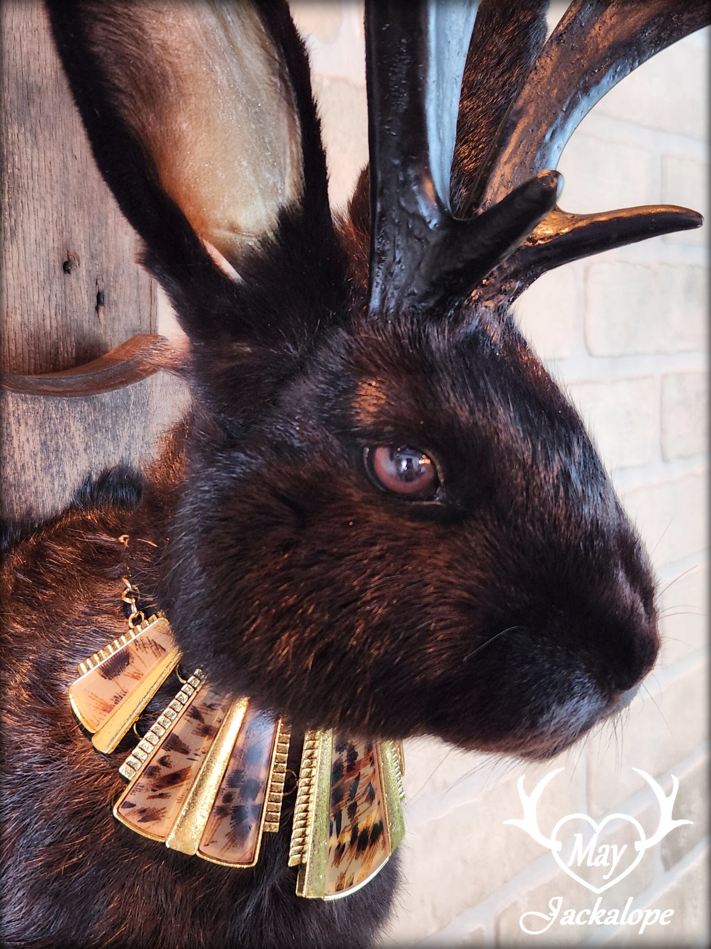 Black Jackalope taxidermy with dark eyes, black antlers replica & necklace.