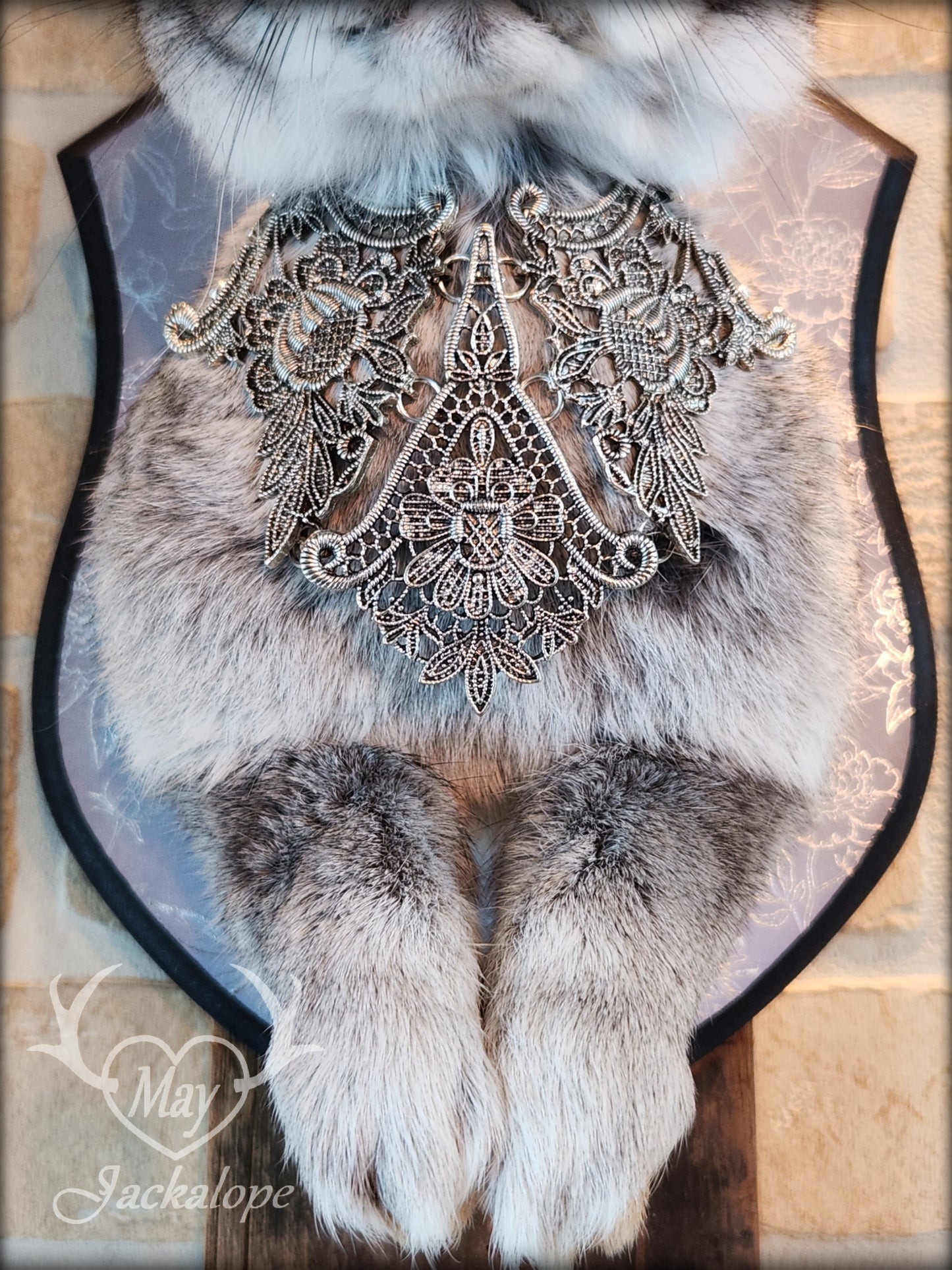 Taxidermie Jackalope gris aux yeux bleus, vrais bois avec un collier.