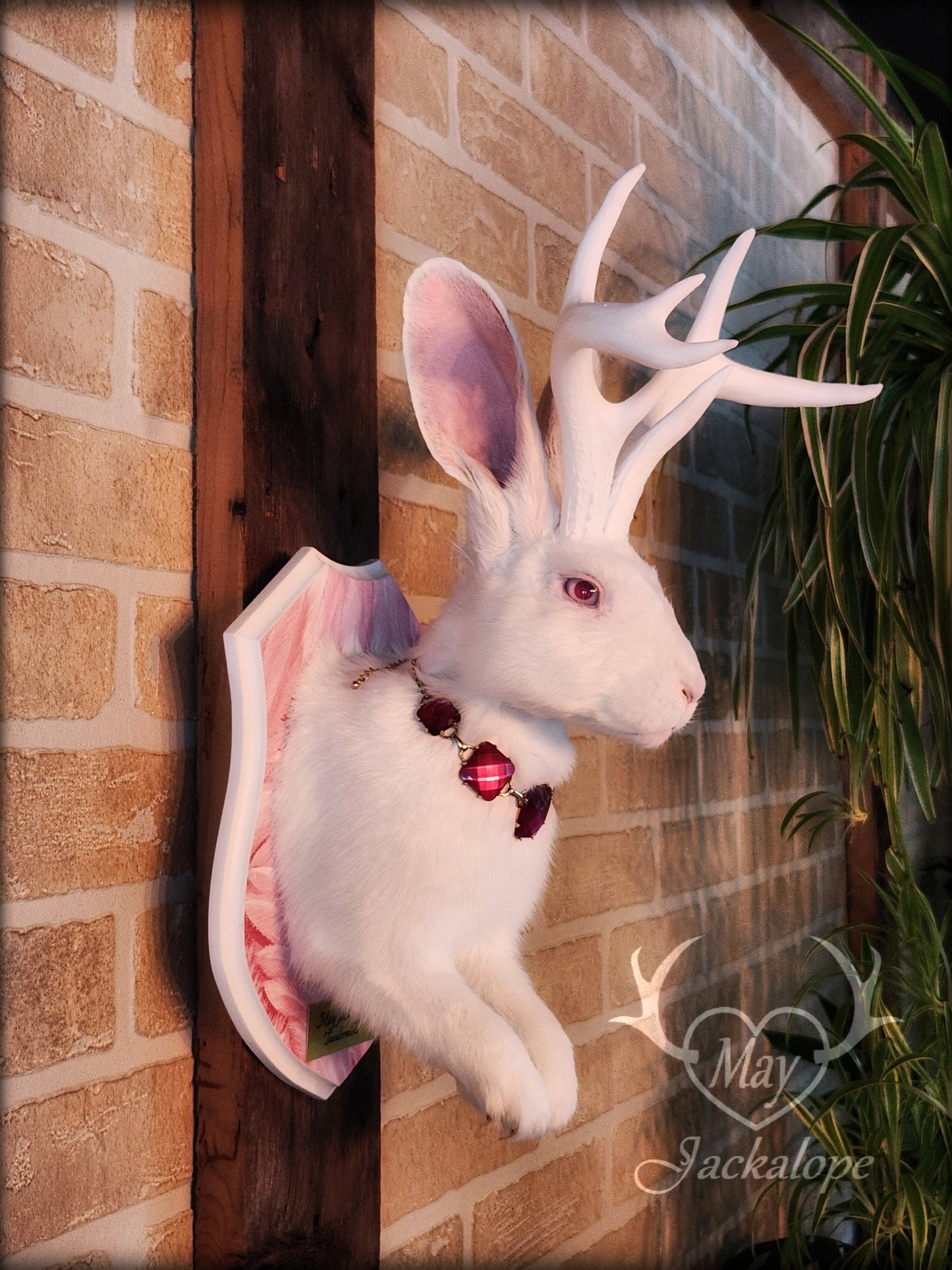 Taxidermie de Jackalope blanc aux yeux albinos, réplique depanache blancs avec un collier