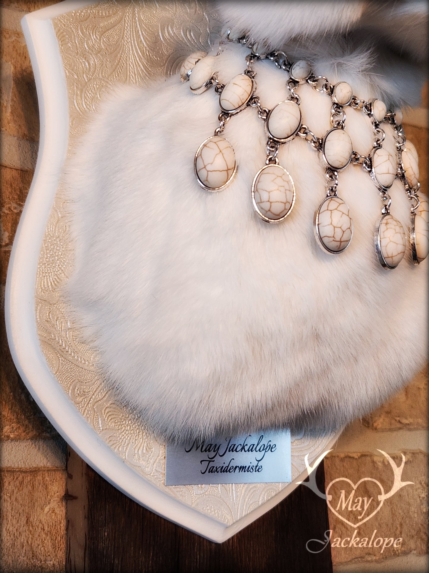 Taxidermie de Jackalope blanc aux yeux gris, réplique de bois blancs avec un collier