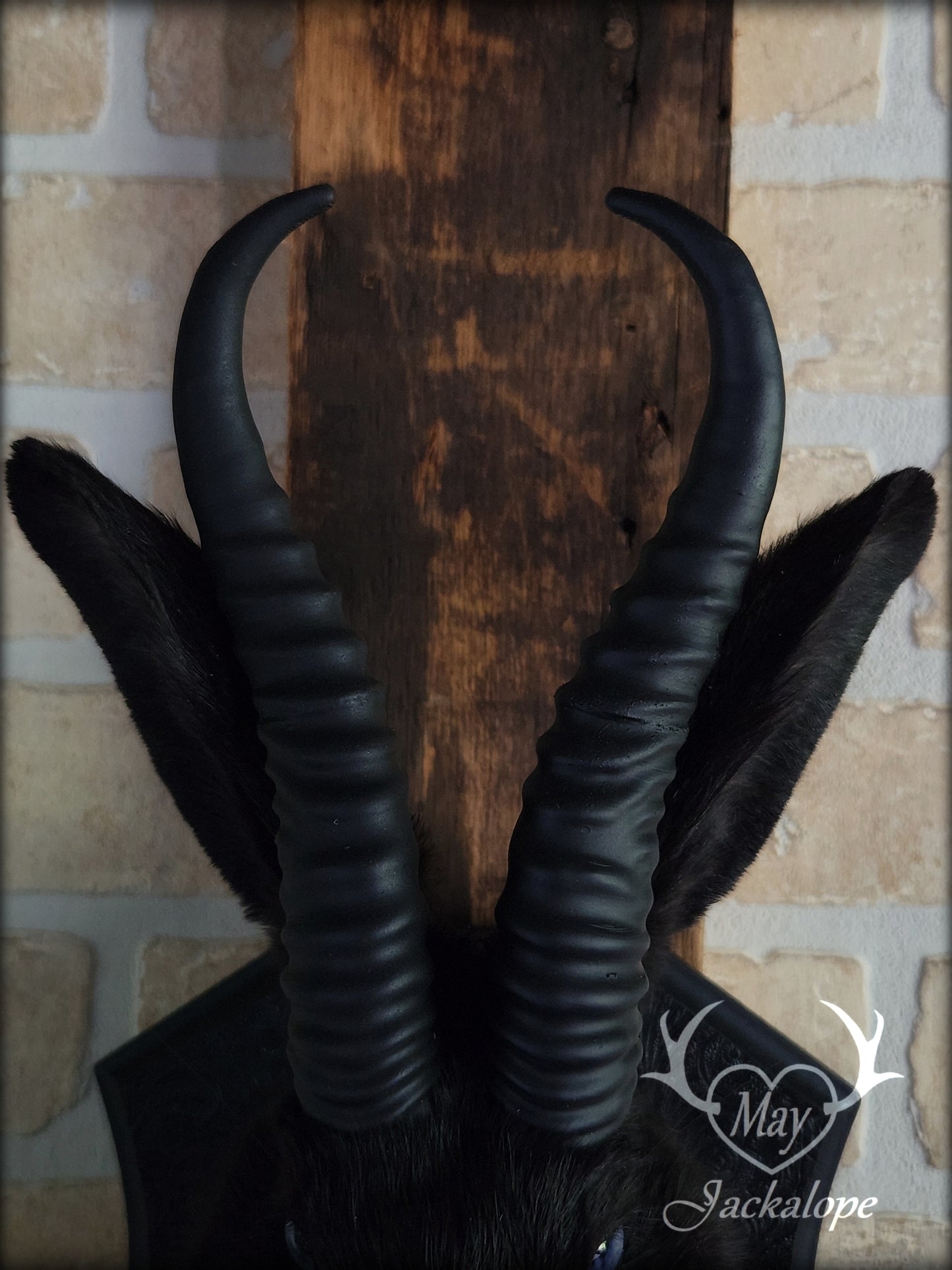 Black jackalope with horns and light blue eyes