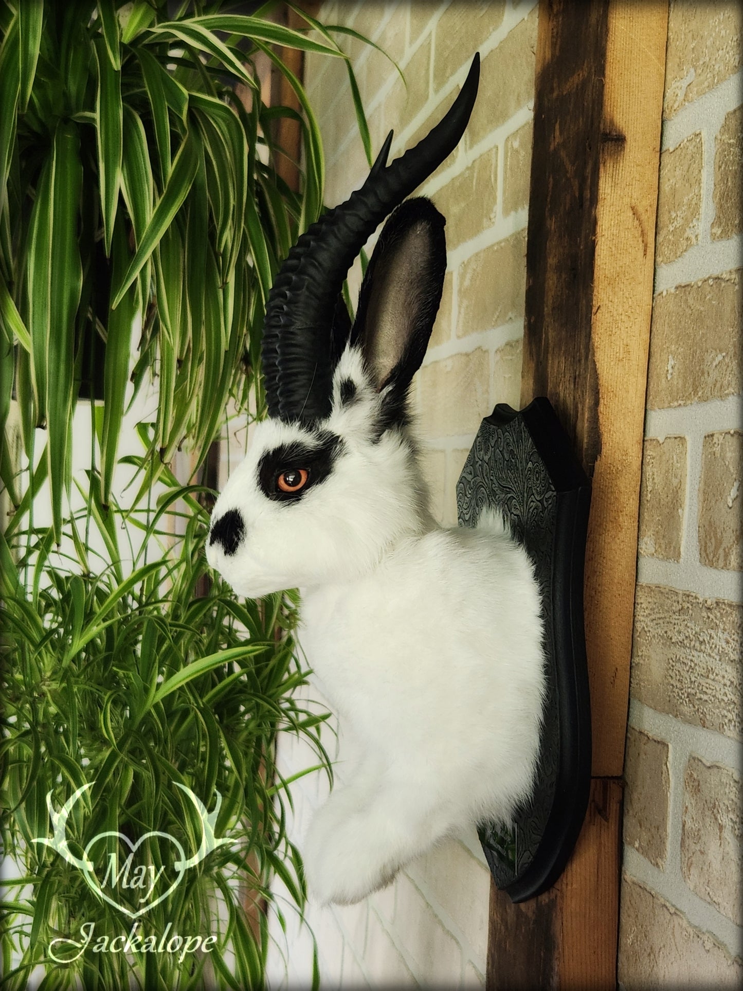 Black & white jackalope with horns and orange eyes
