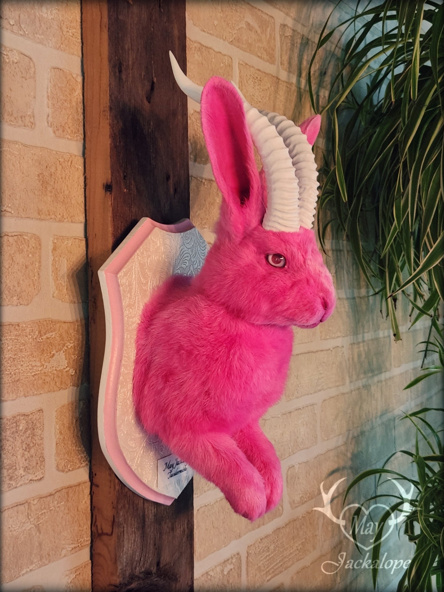 Taxidermie Jackalope rose avec réplique de cornes blanches et yeux albinos