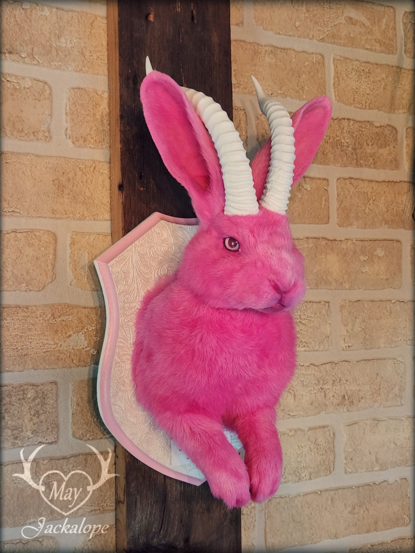 Taxidermie Jackalope rose avec réplique de cornes blanches et yeux albinos