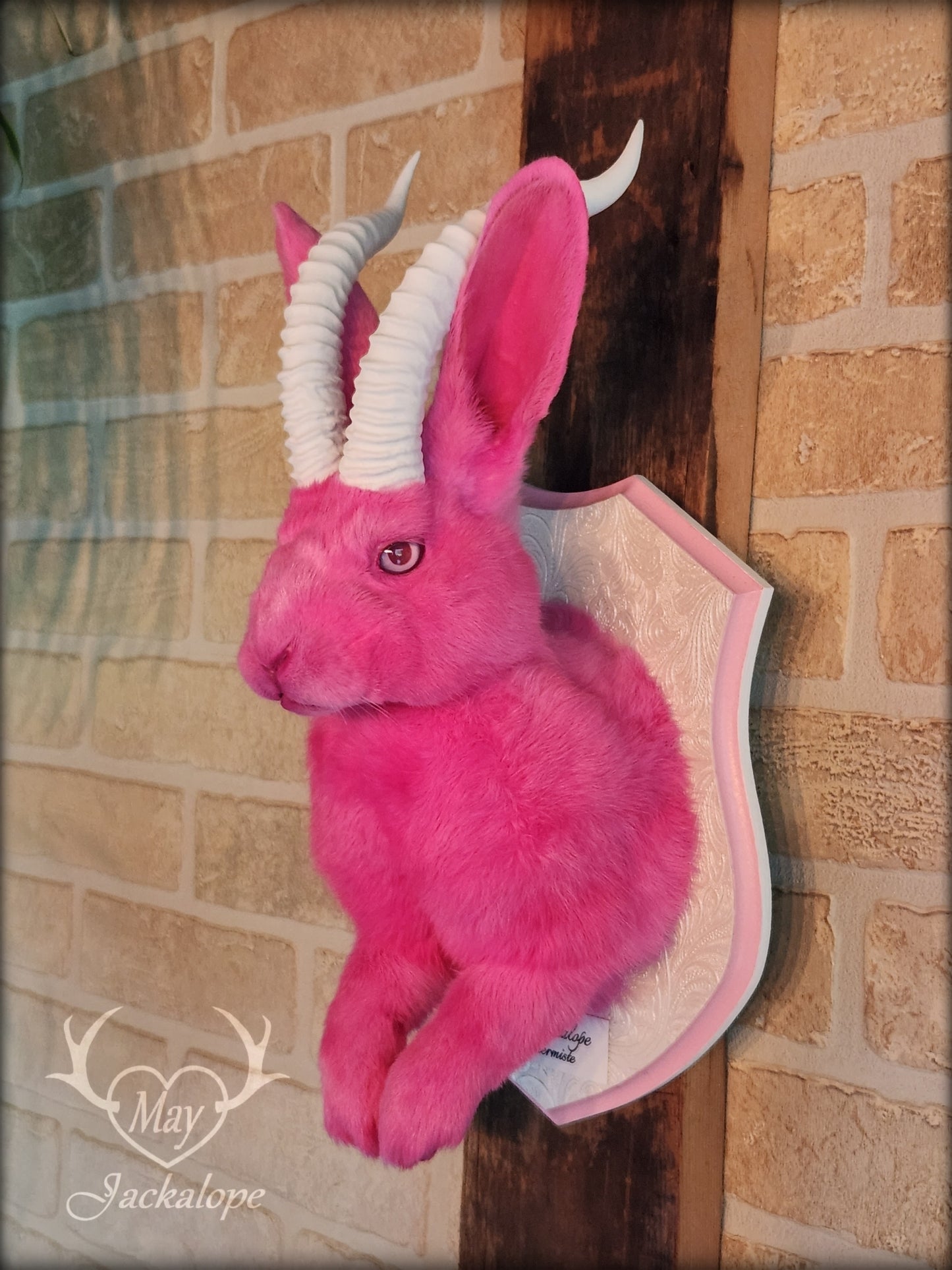 Taxidermie Jackalope rose avec réplique de cornes blanches et yeux albinos