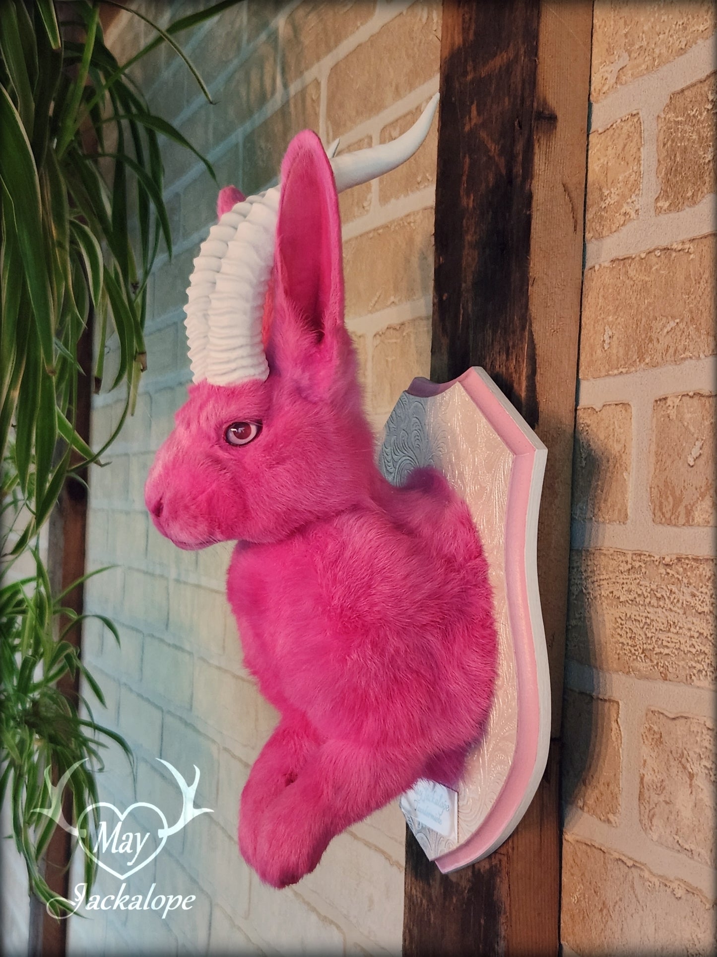 Taxidermie Jackalope rose avec réplique de cornes blanches et yeux albinos