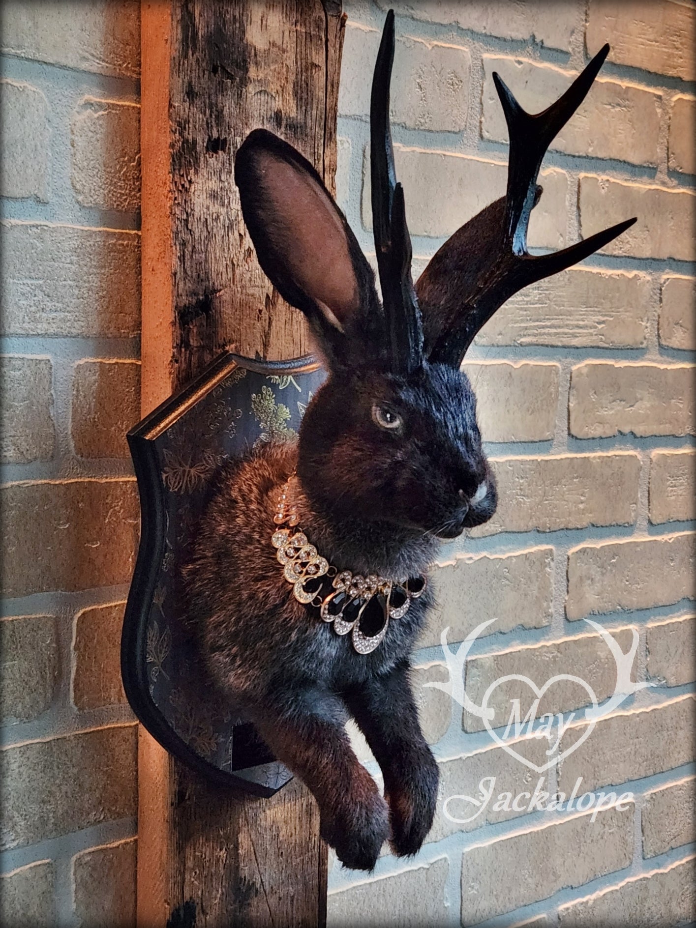 Dark Jackalope taxidermy with grey eyes, with black antlers replica & necklace