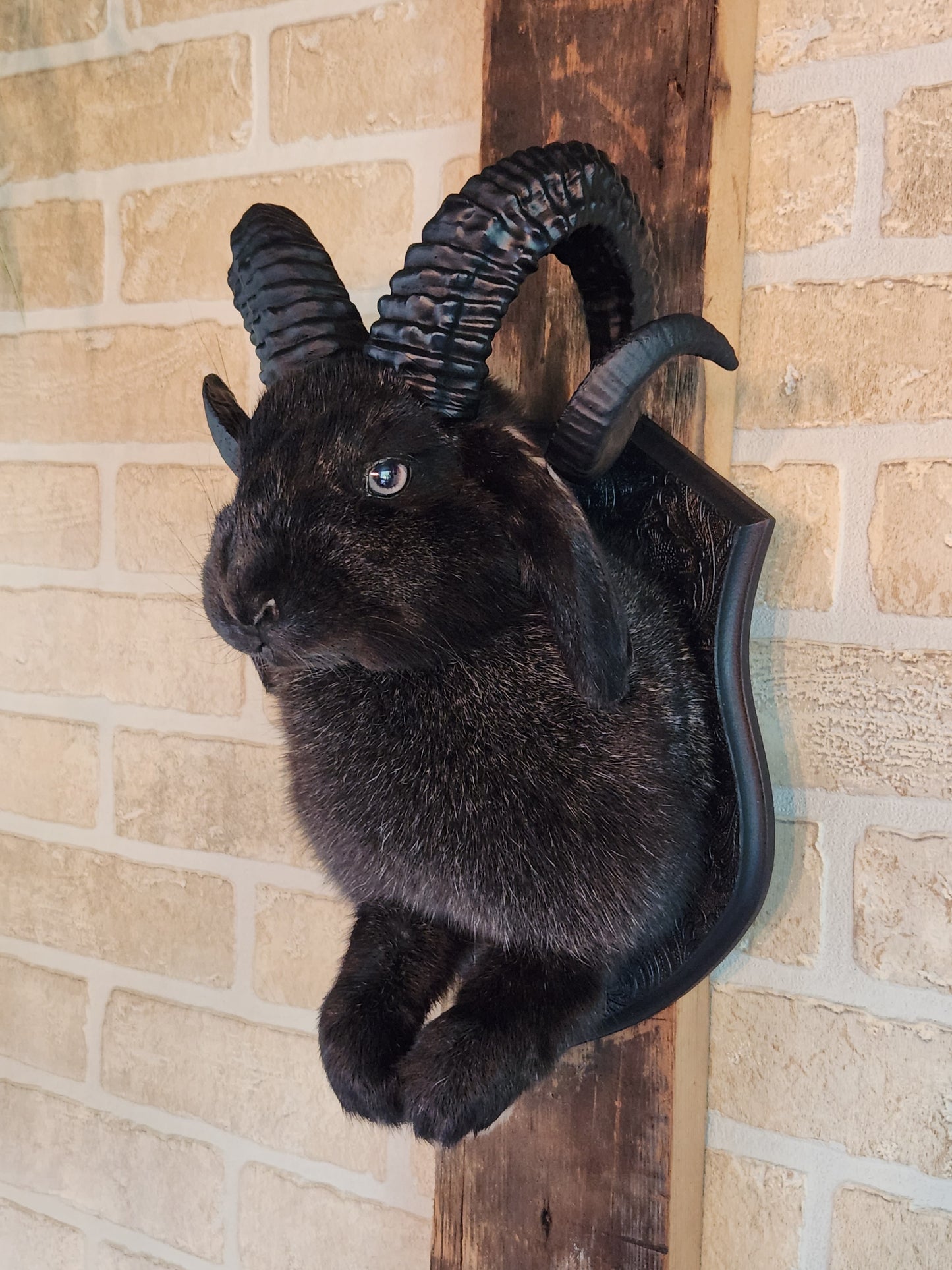 Jackalope noir avec cornes et yeux gris
