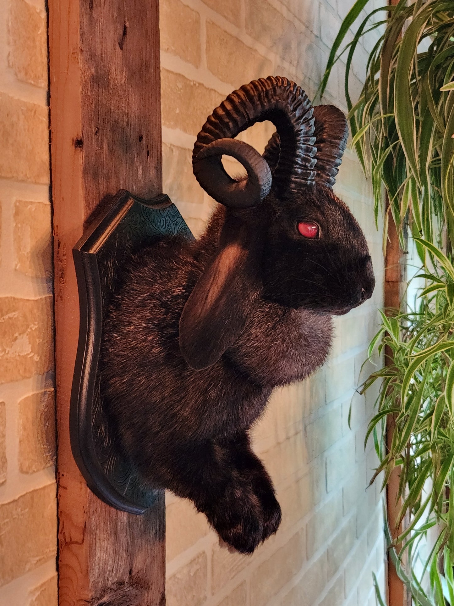 Black jackalope with black horns & red eyes.