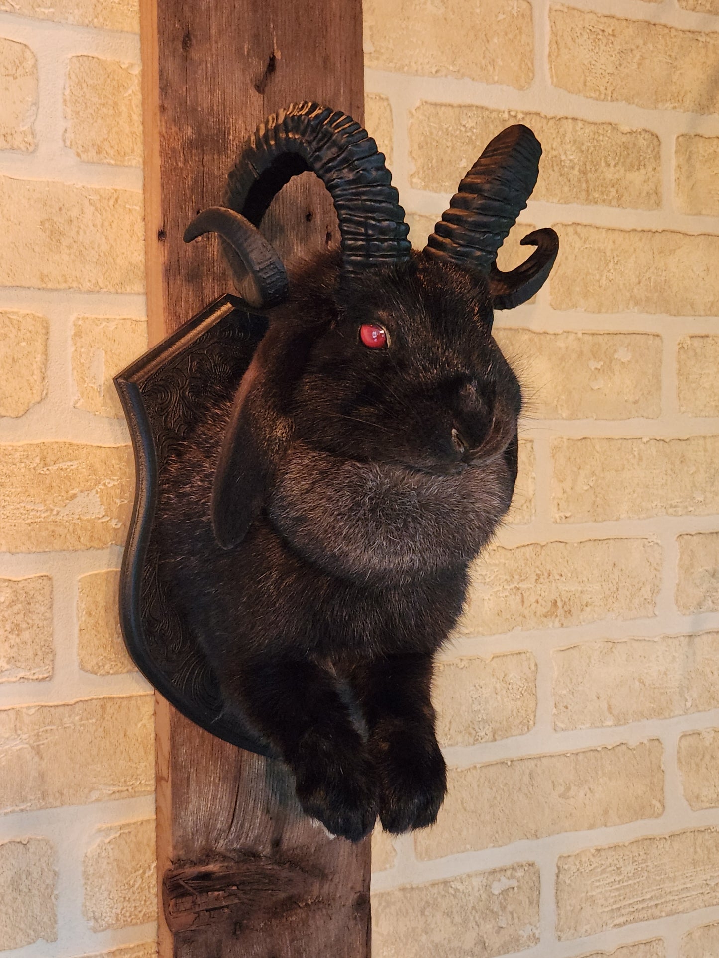 Black jackalope with black horns & red eyes.