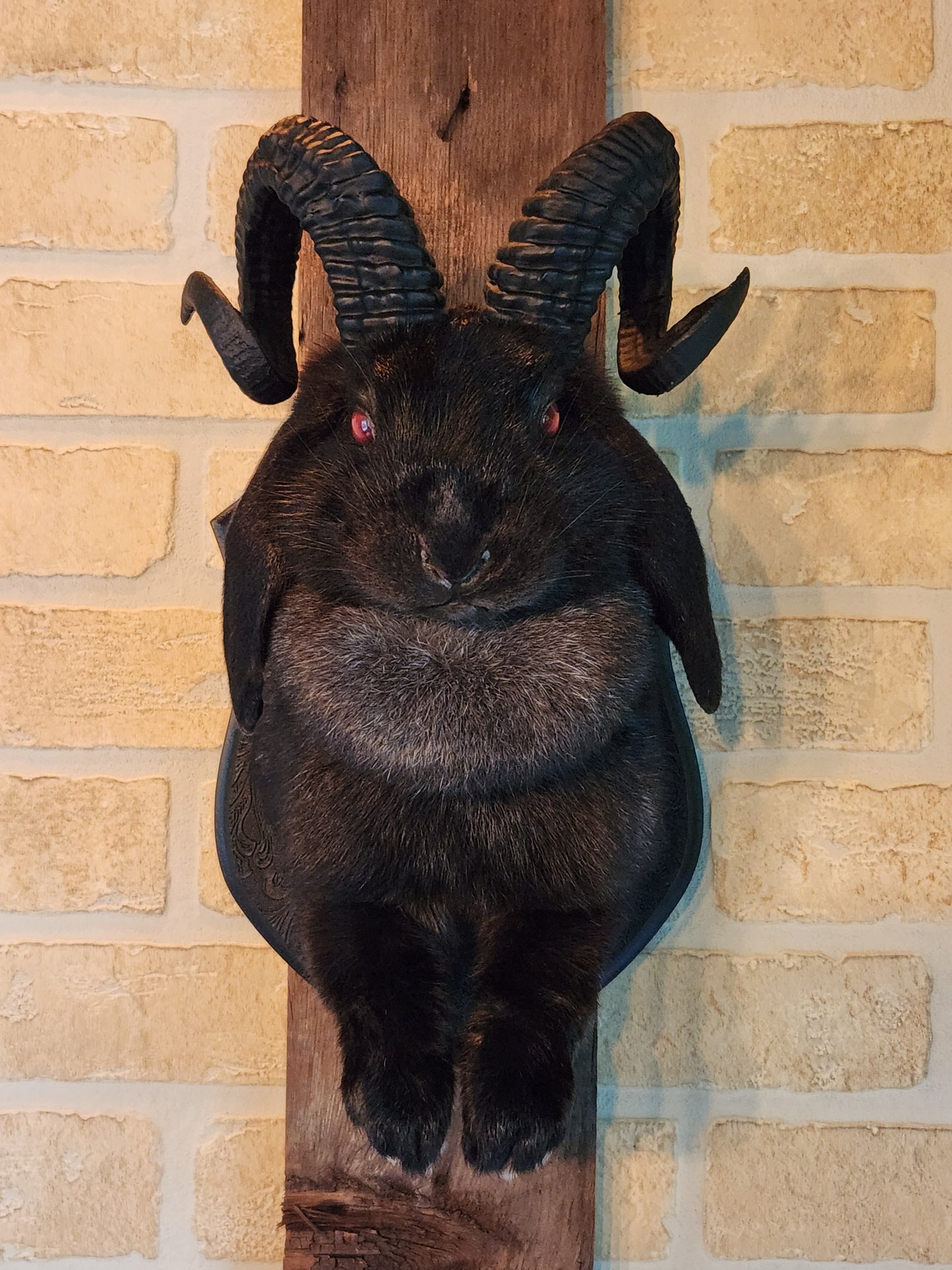 Black jackalope with black horns & red eyes.