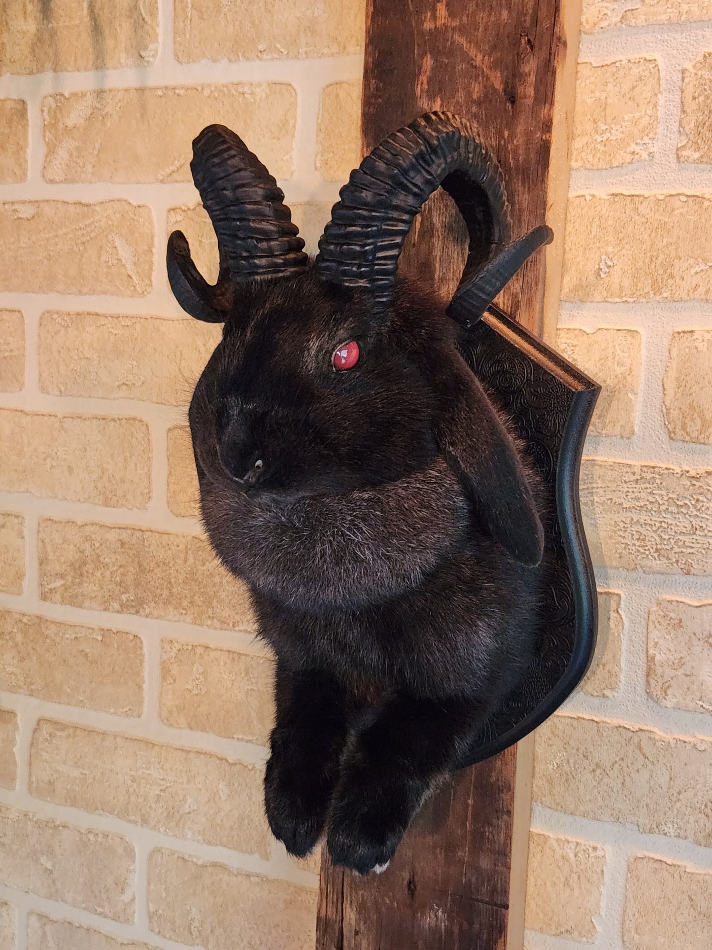 Black jackalope with black horns & red eyes.