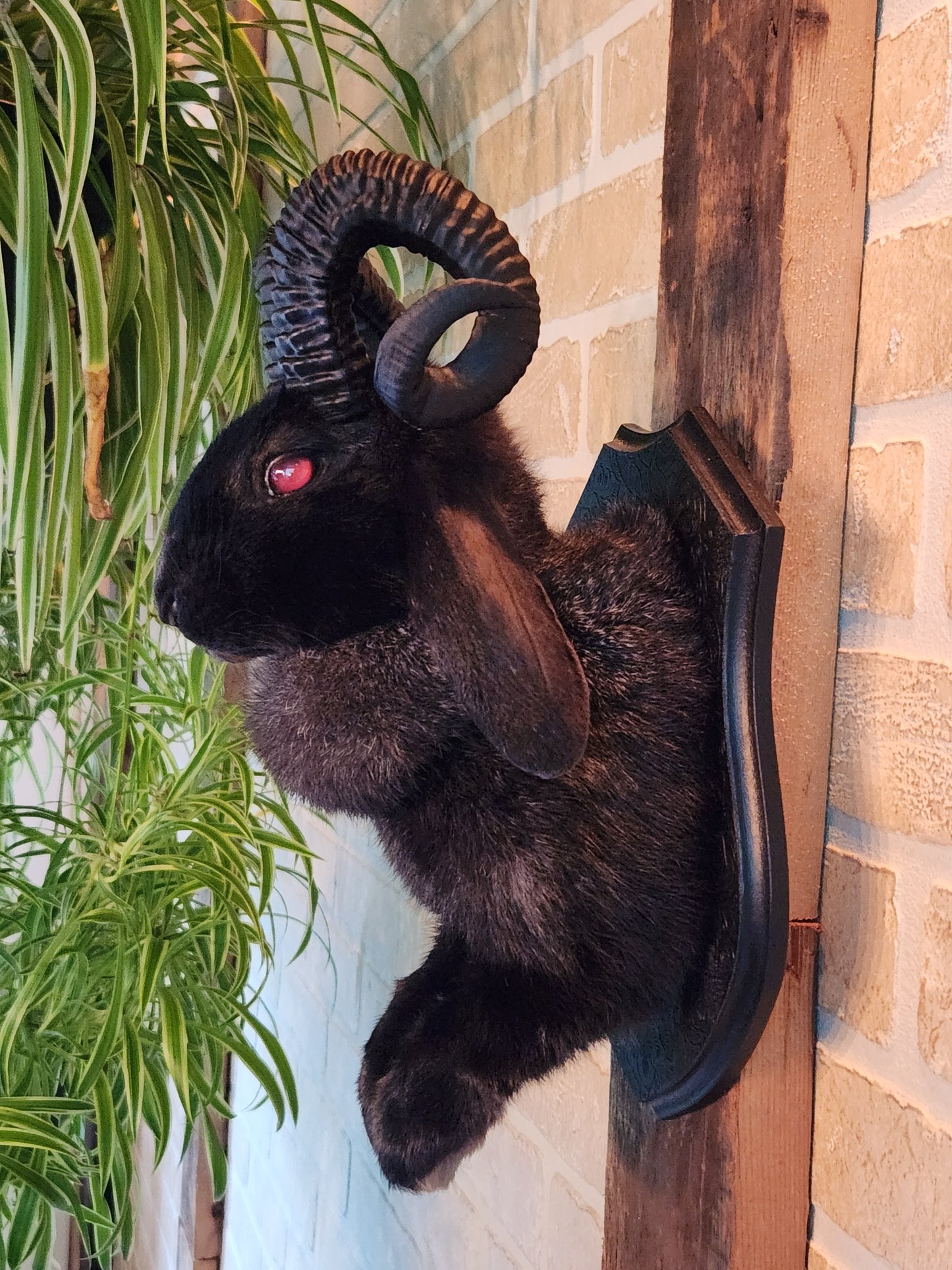 Black jackalope with black horns & red eyes.