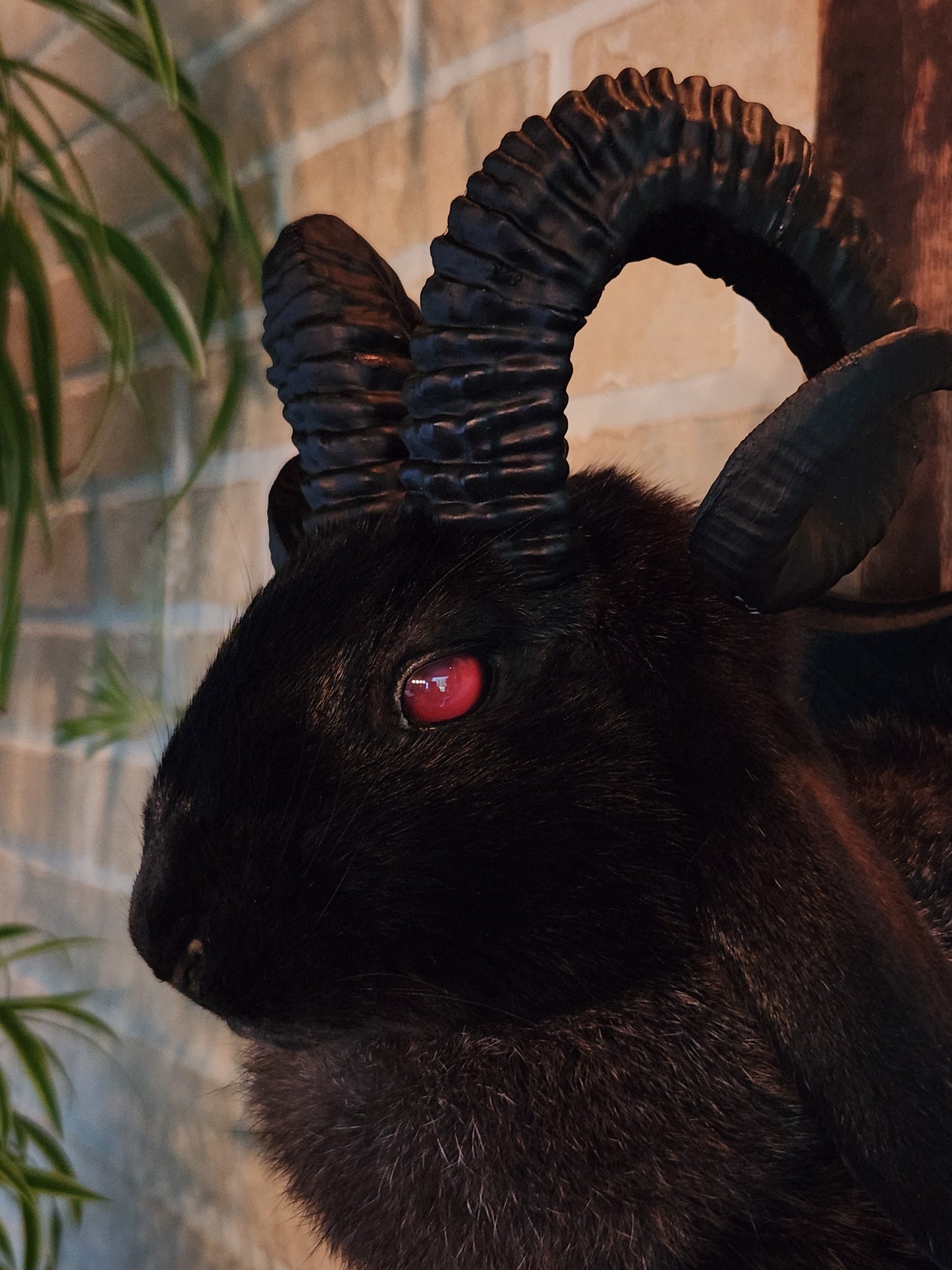 Black jackalope with black horns & red eyes.