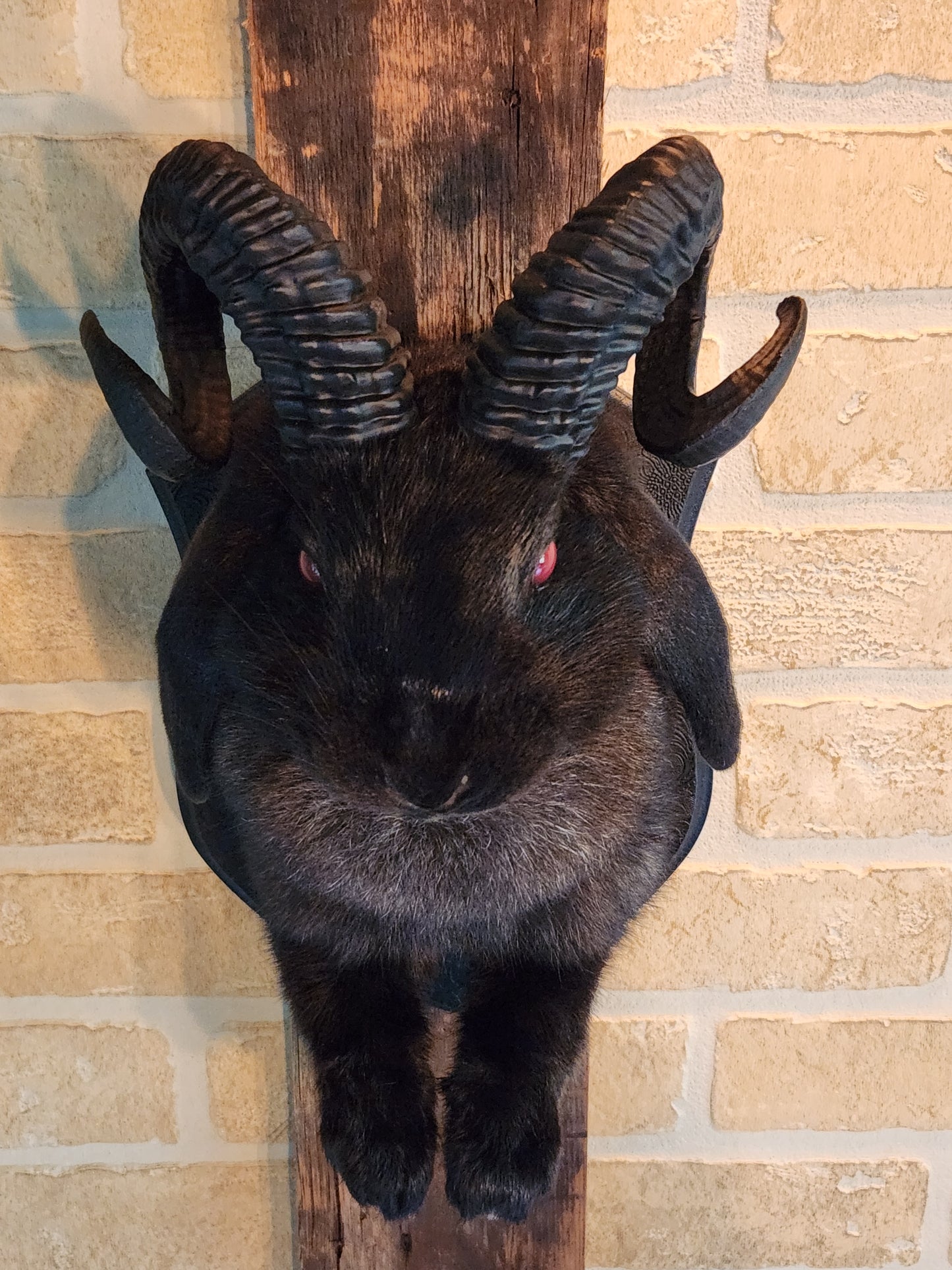 Black jackalope with black horns & red eyes.