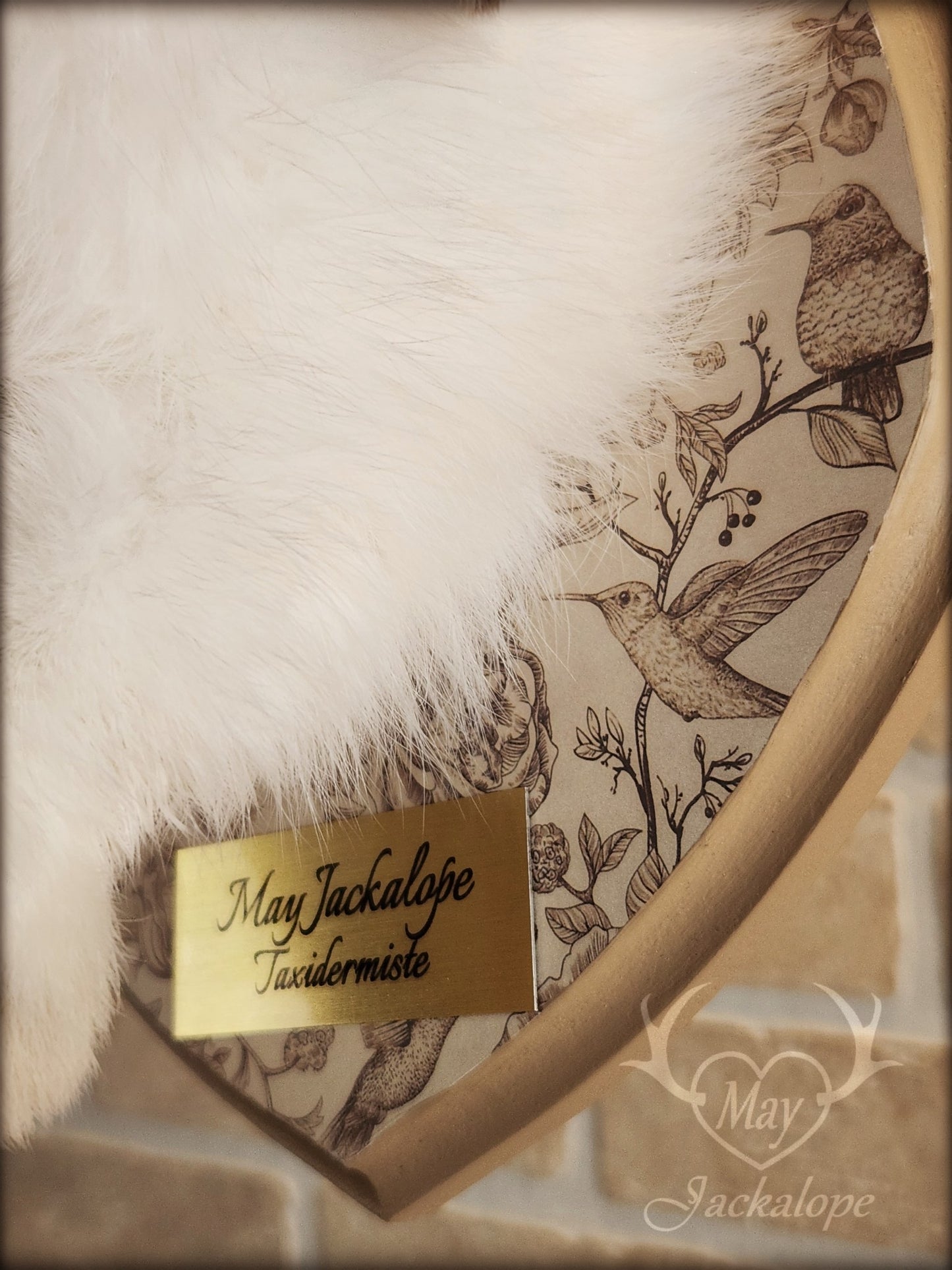 White and light brown jackalope taxidermy with grey eyes & real antlers