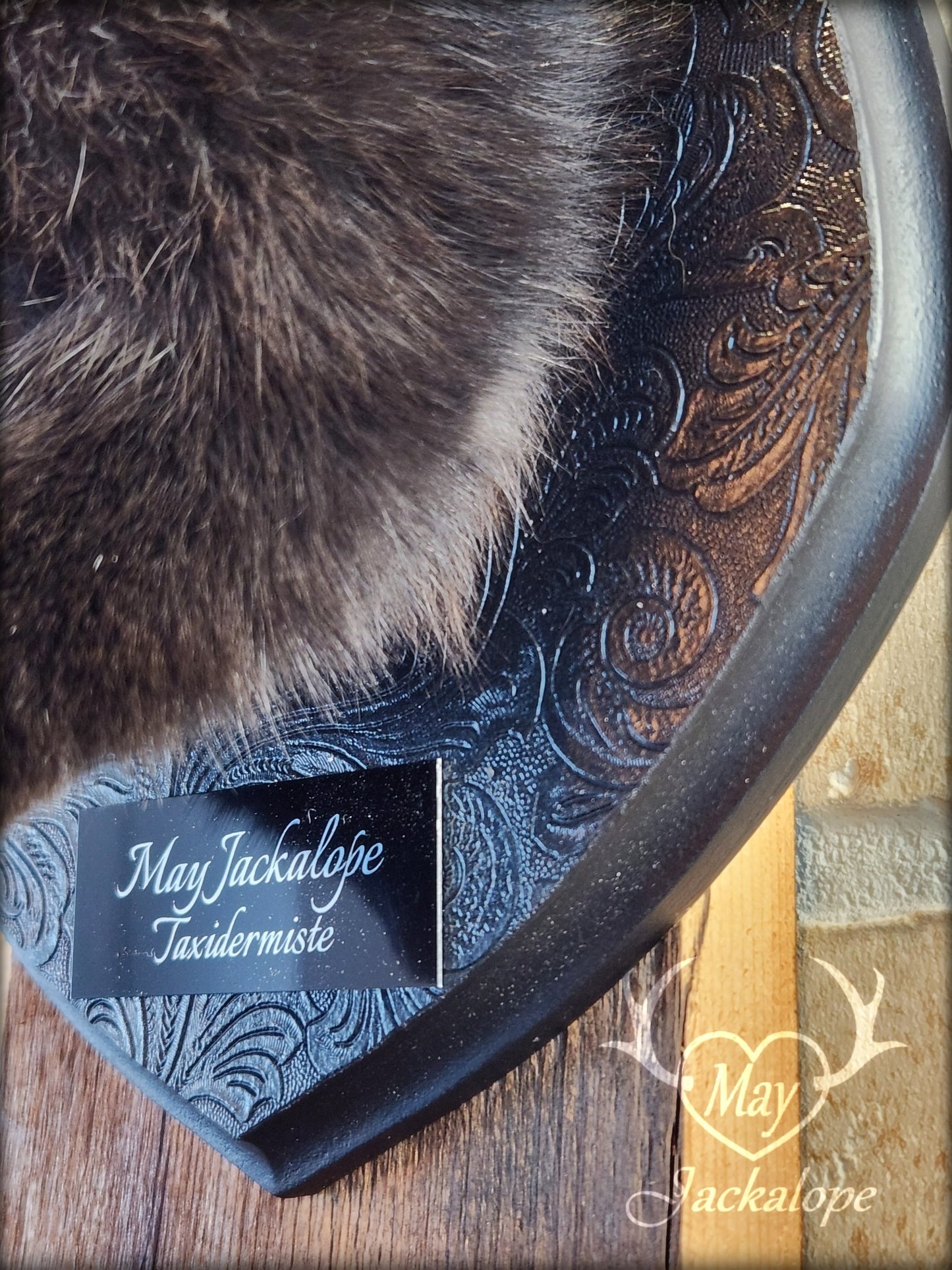 Taxidermie de jackalope noir avec une patte blanche, aux yeux bleu et réplique réaliste de bois