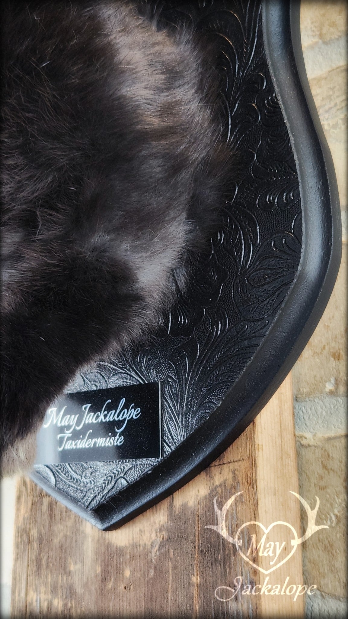 Taxidermie de jackalope noir aux yeux bleu et réplique réaliste de bois