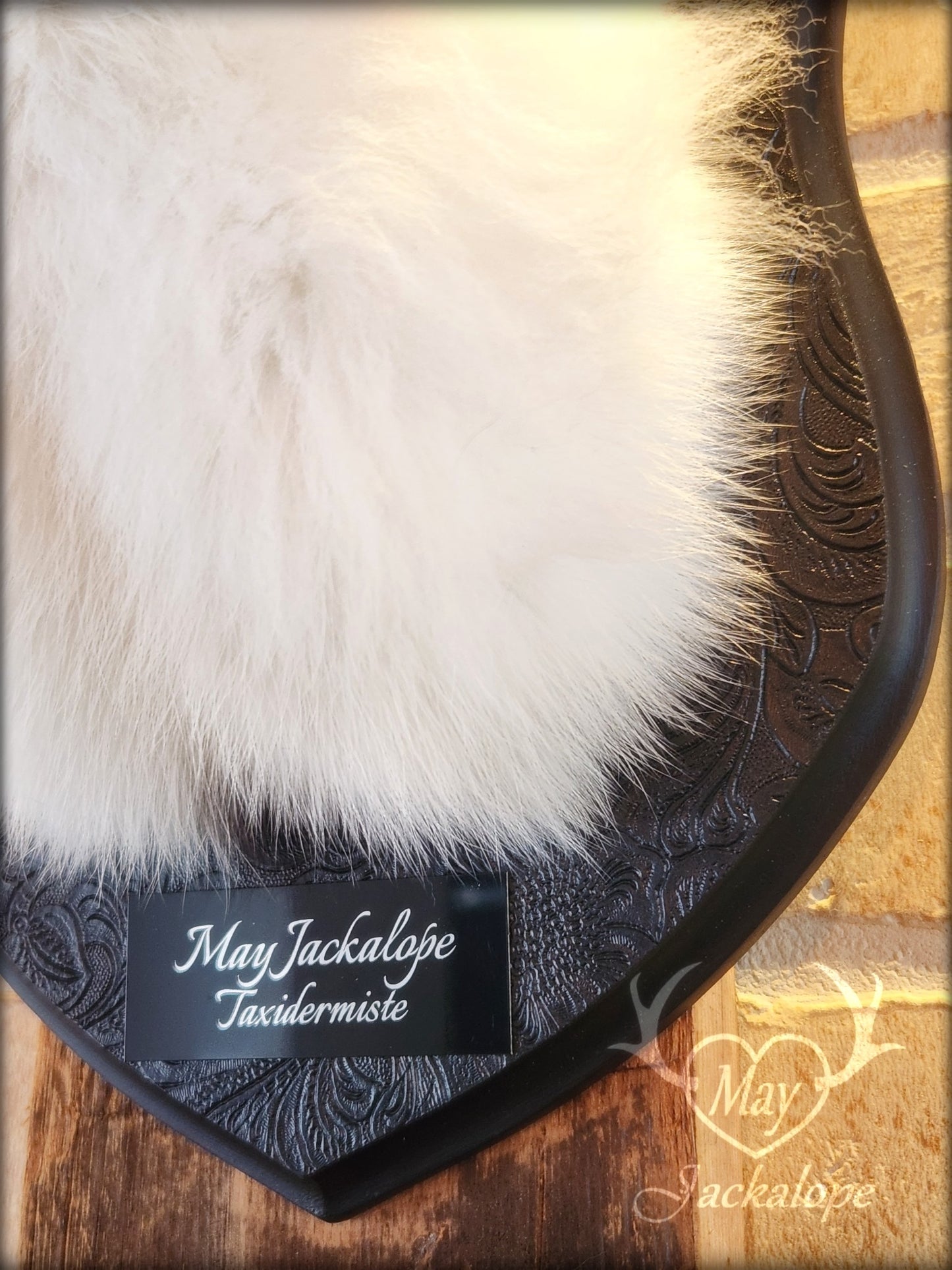 Taxidermie de jackalope noir et blanc poil long aux yeux bleu foncé et réplique réaliste de bois