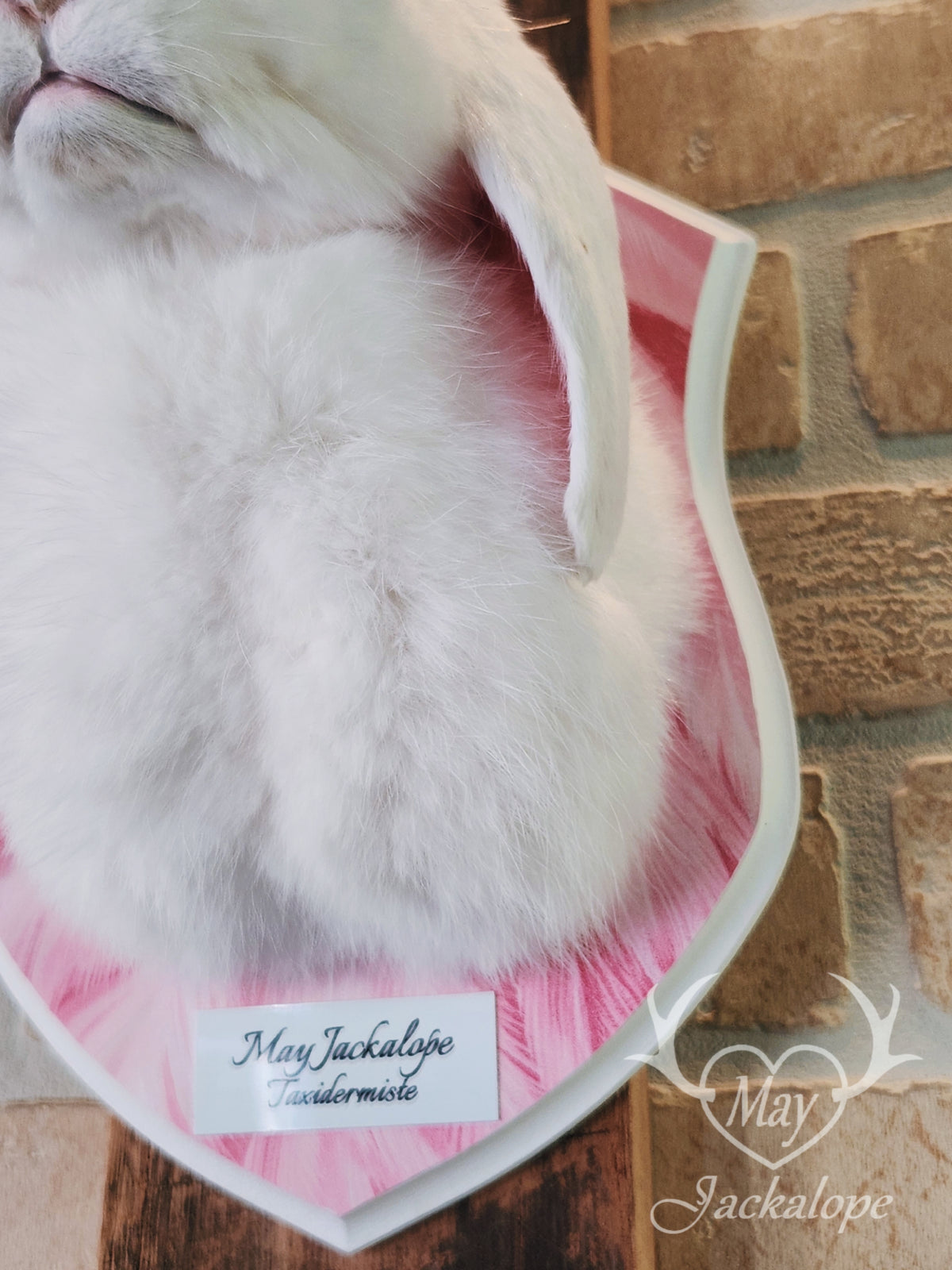 White & blue lop Jackalope taxidermy with grey-blue eyes & big antlers replica