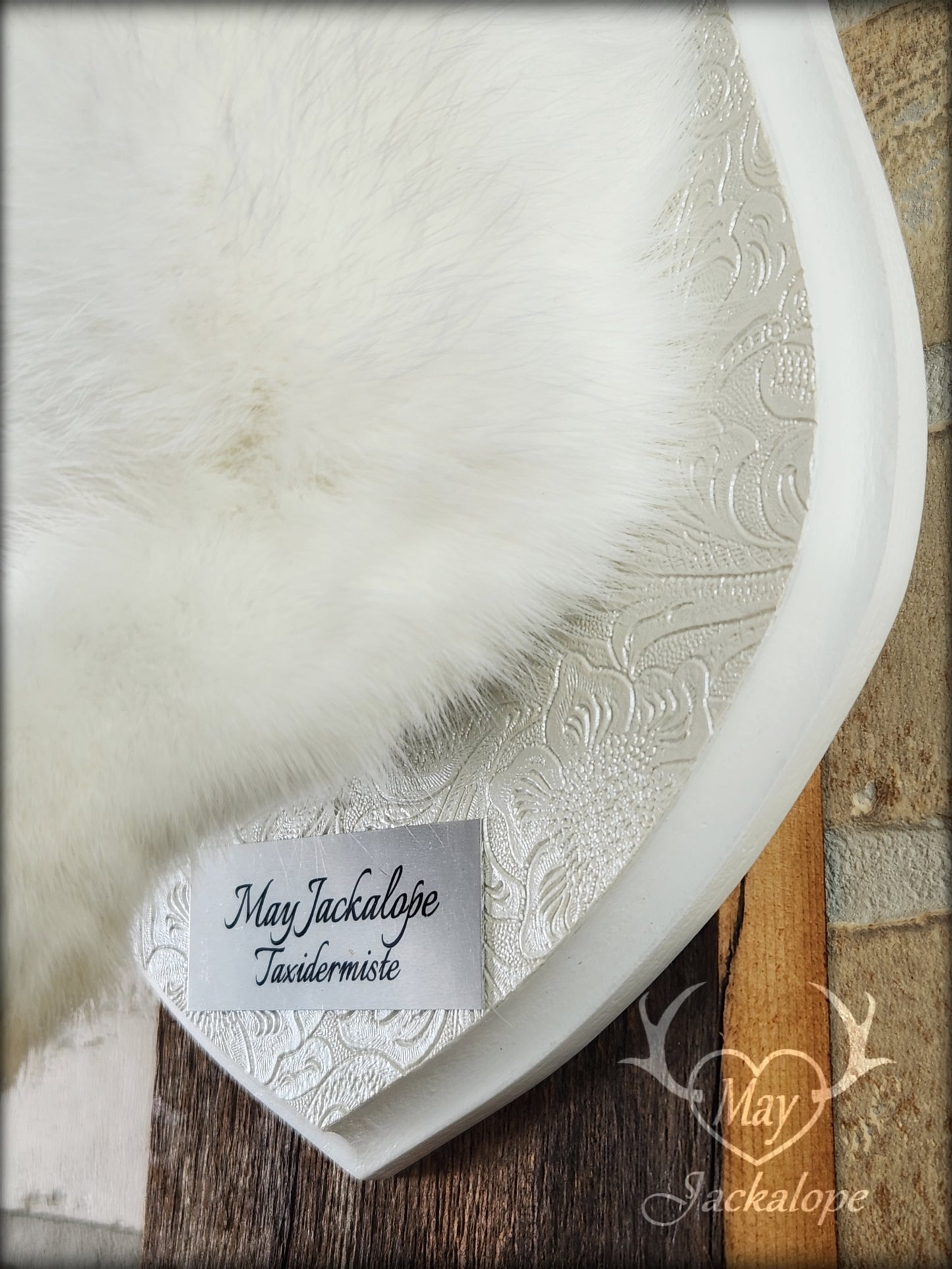 Taxidermie de Jackalope blanc et gris avec des yeux bleus et de vraies bois
