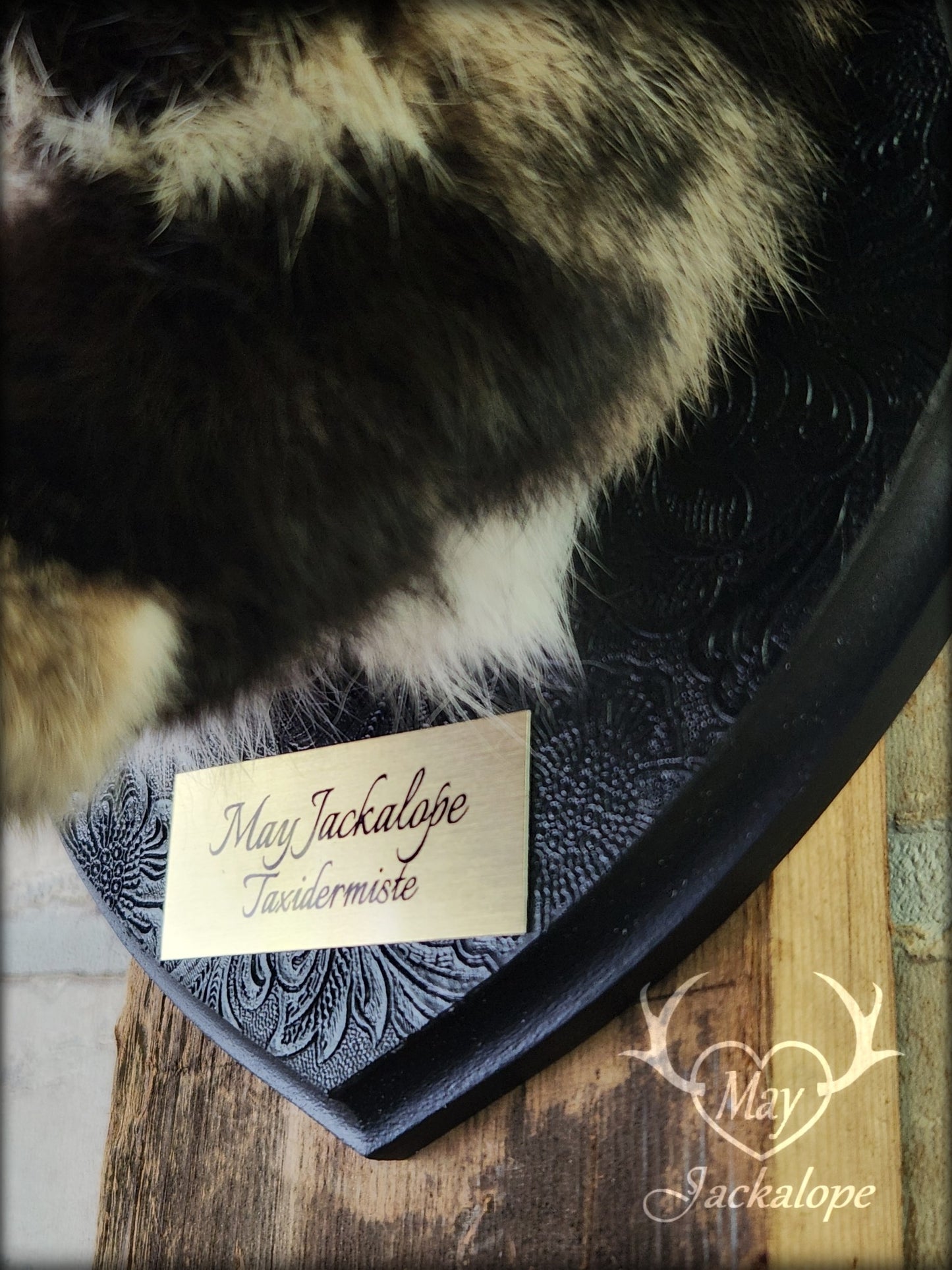 Taxidermie de Jackalope Harlequin brun