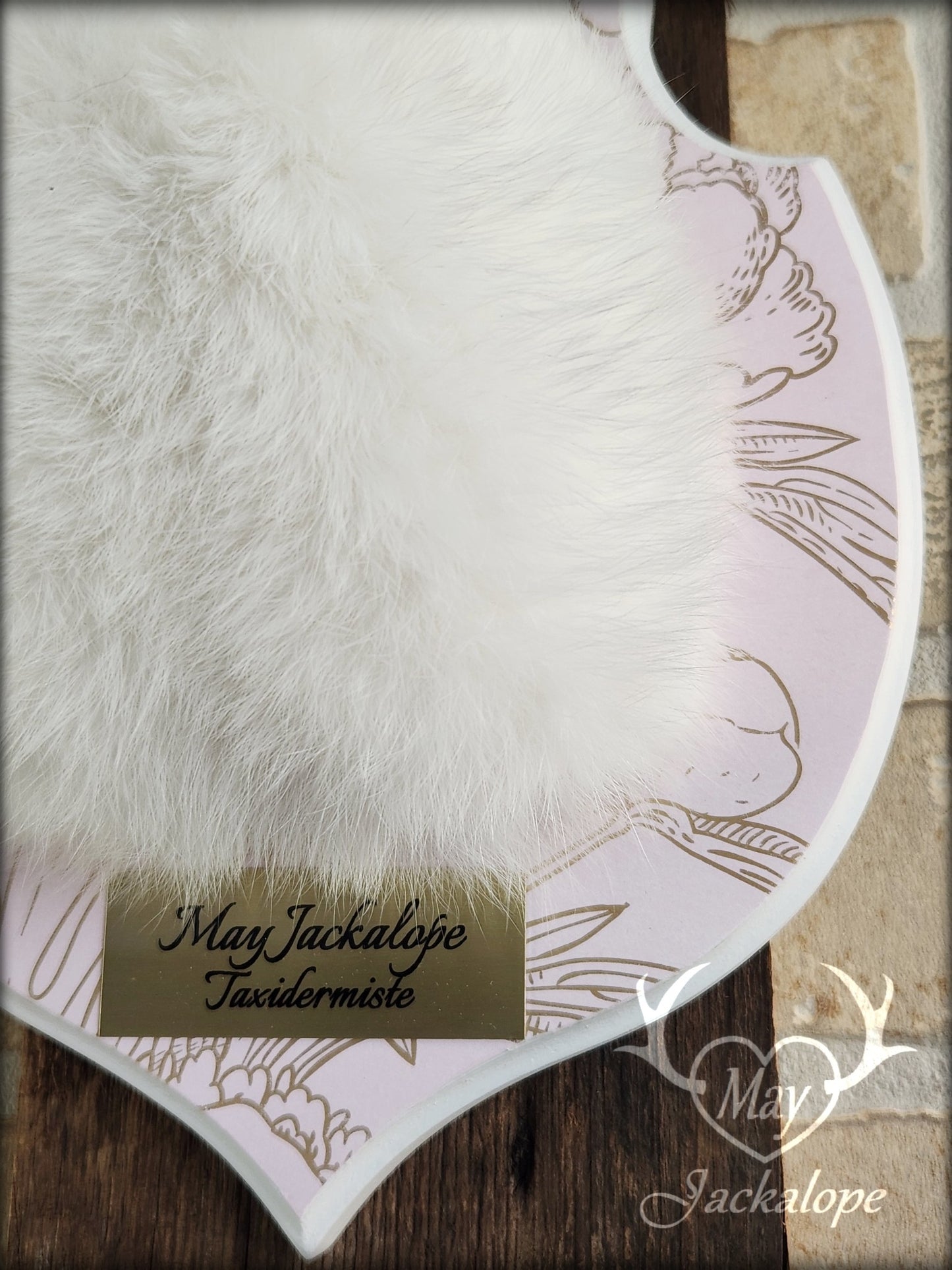 Petite taxidermie de jackalope blanc aux yeux bleus foncé avec réplique de panache.