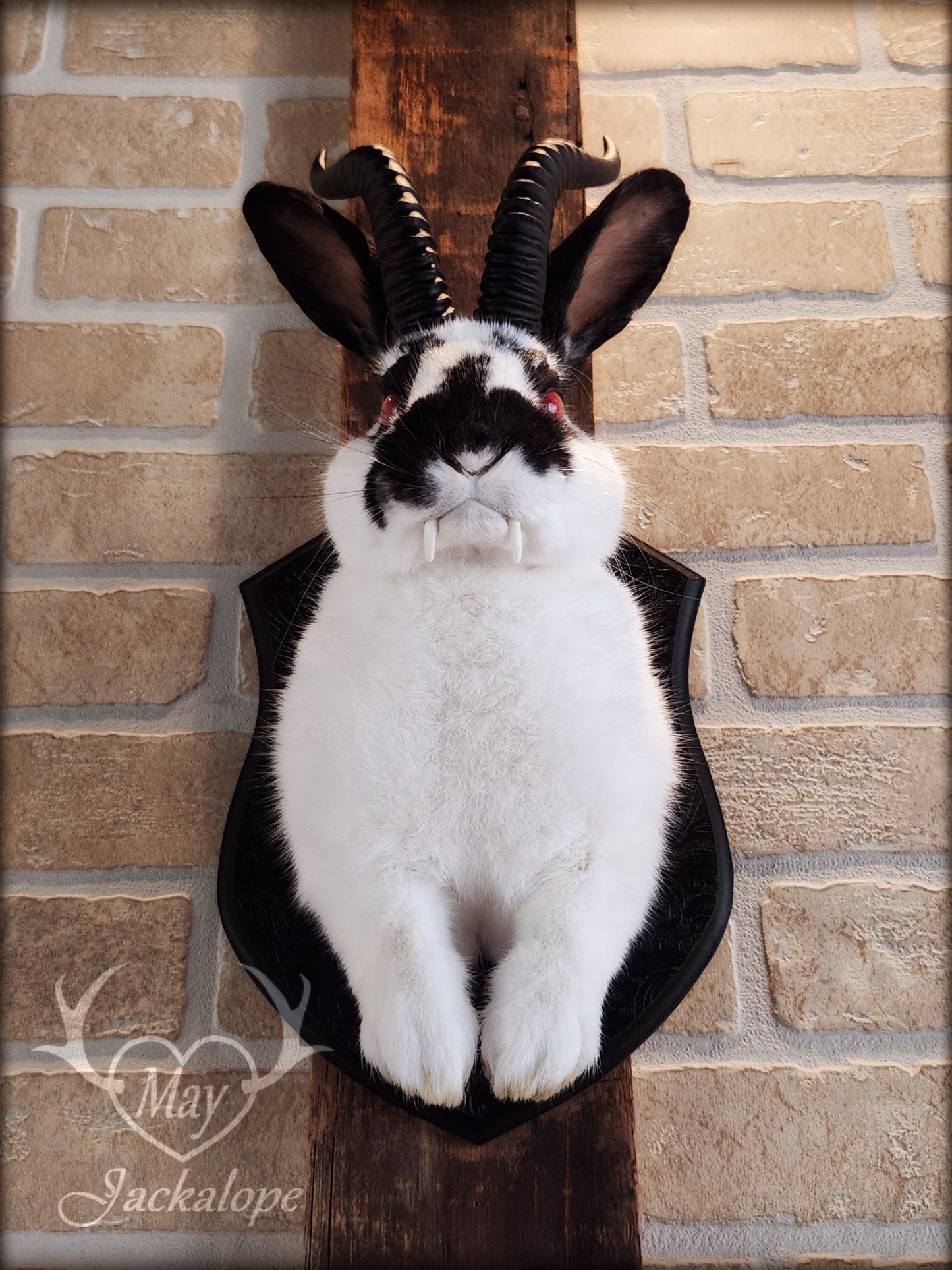 Black & white Jackalope taxidermy with red eyes, fangs & black horns replica