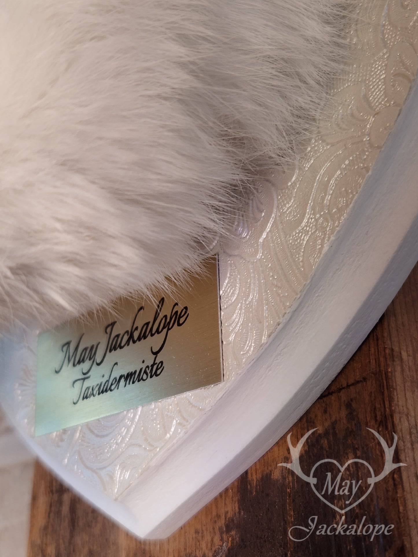 Long-haired white Jackalope taxidermy with bright blue eyes & horns replica