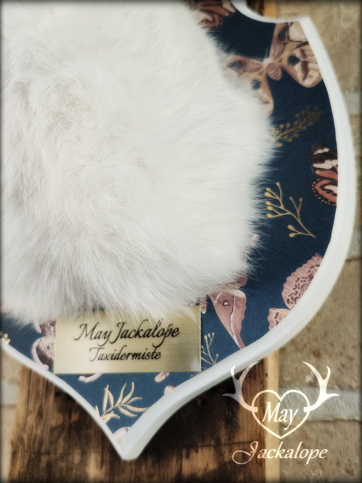 Petite taxidermie de jackalope blanc et gris aux yeux bleus avec réplique de panache.