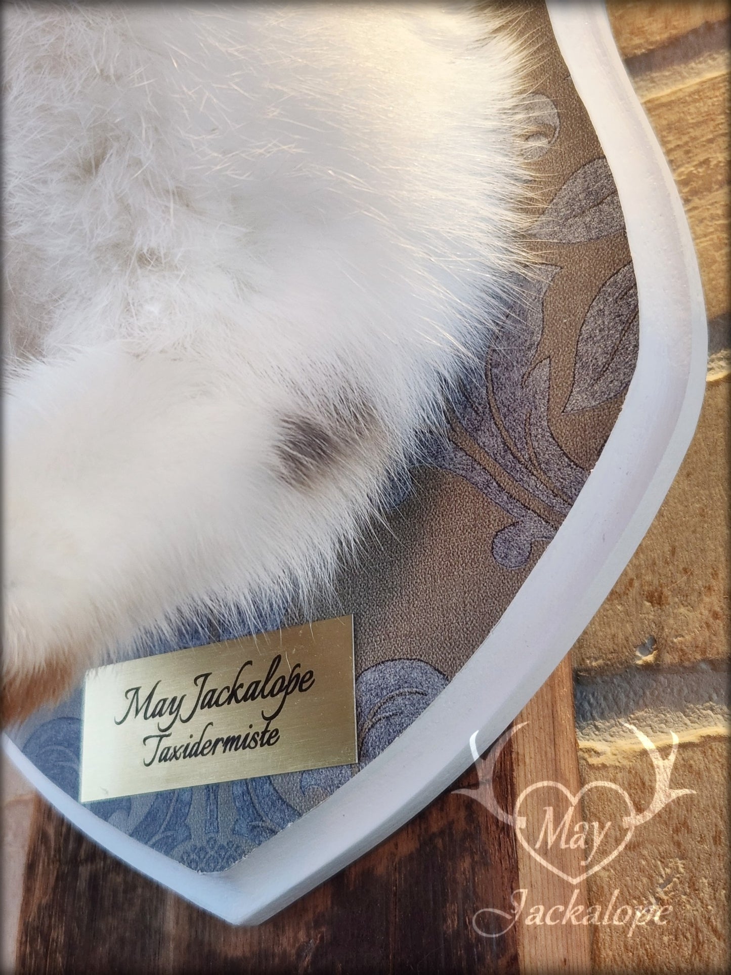 Taxidermie de jackalope blanc et gris aux yeux bleu et vrais bois