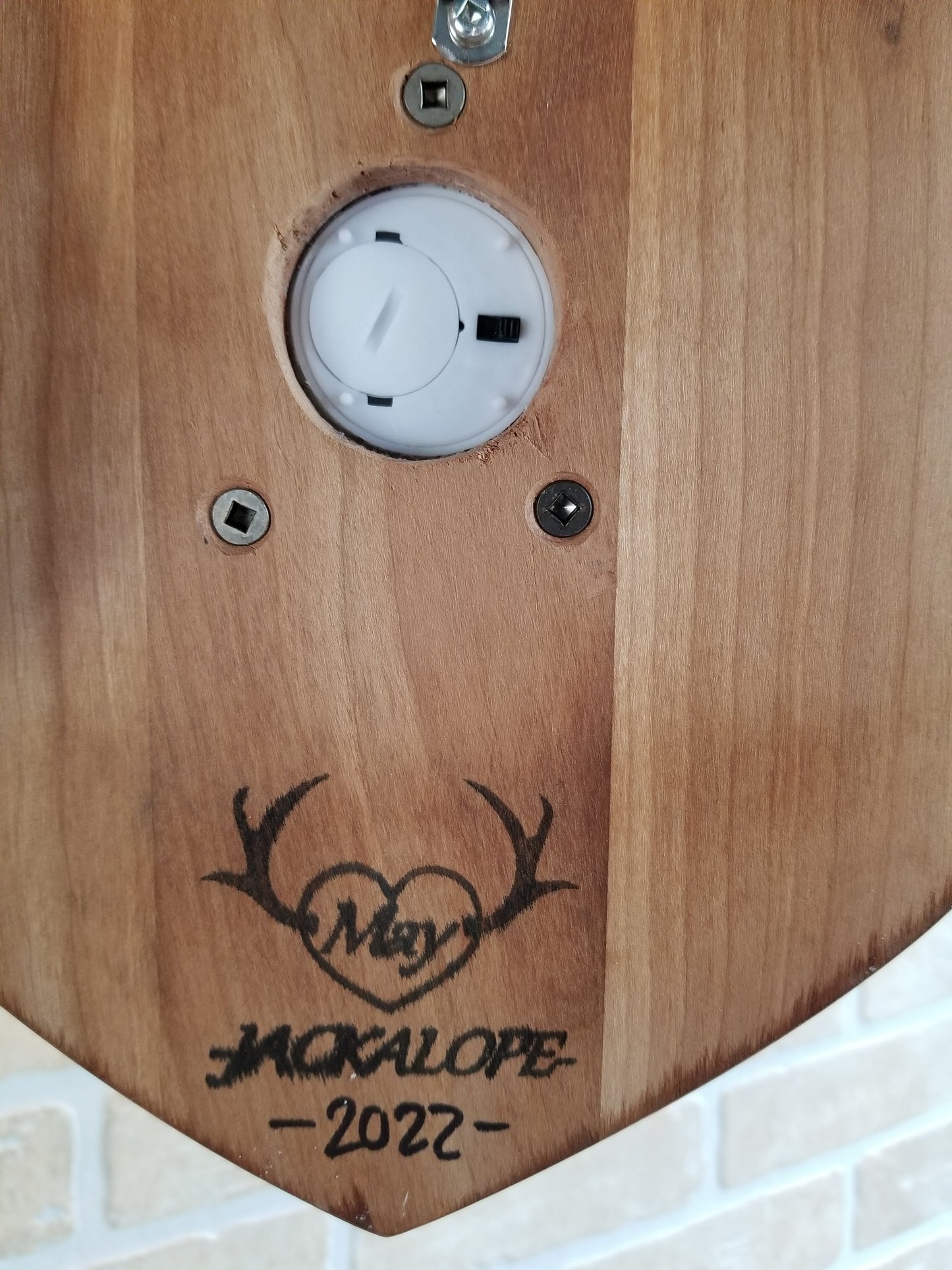 Black Jackalope taxidermy with real antlers and luminous quartz