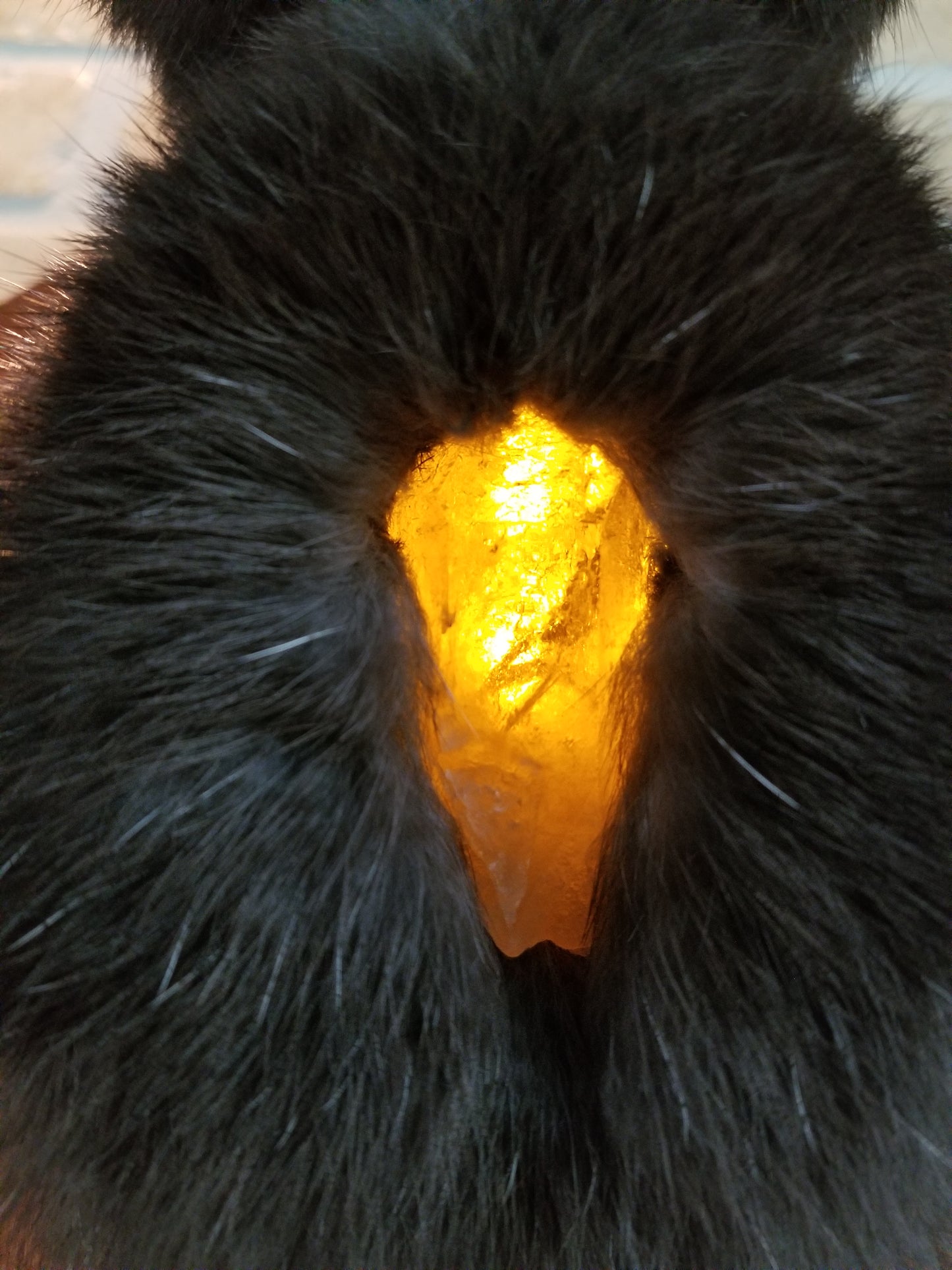Black Jackalope taxidermy with real antlers and luminous quartz