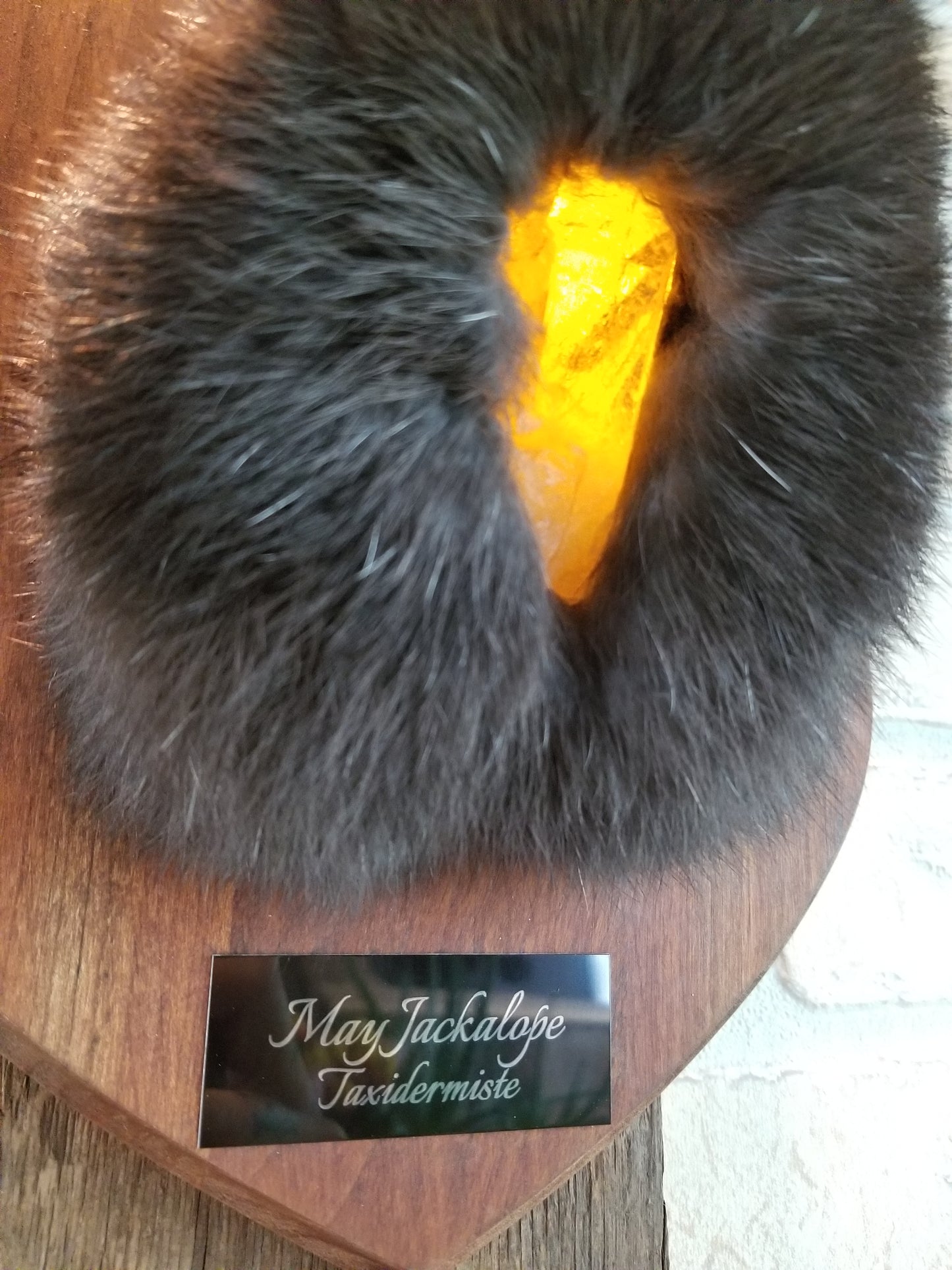 Black Jackalope taxidermy with real antlers and luminous quartz