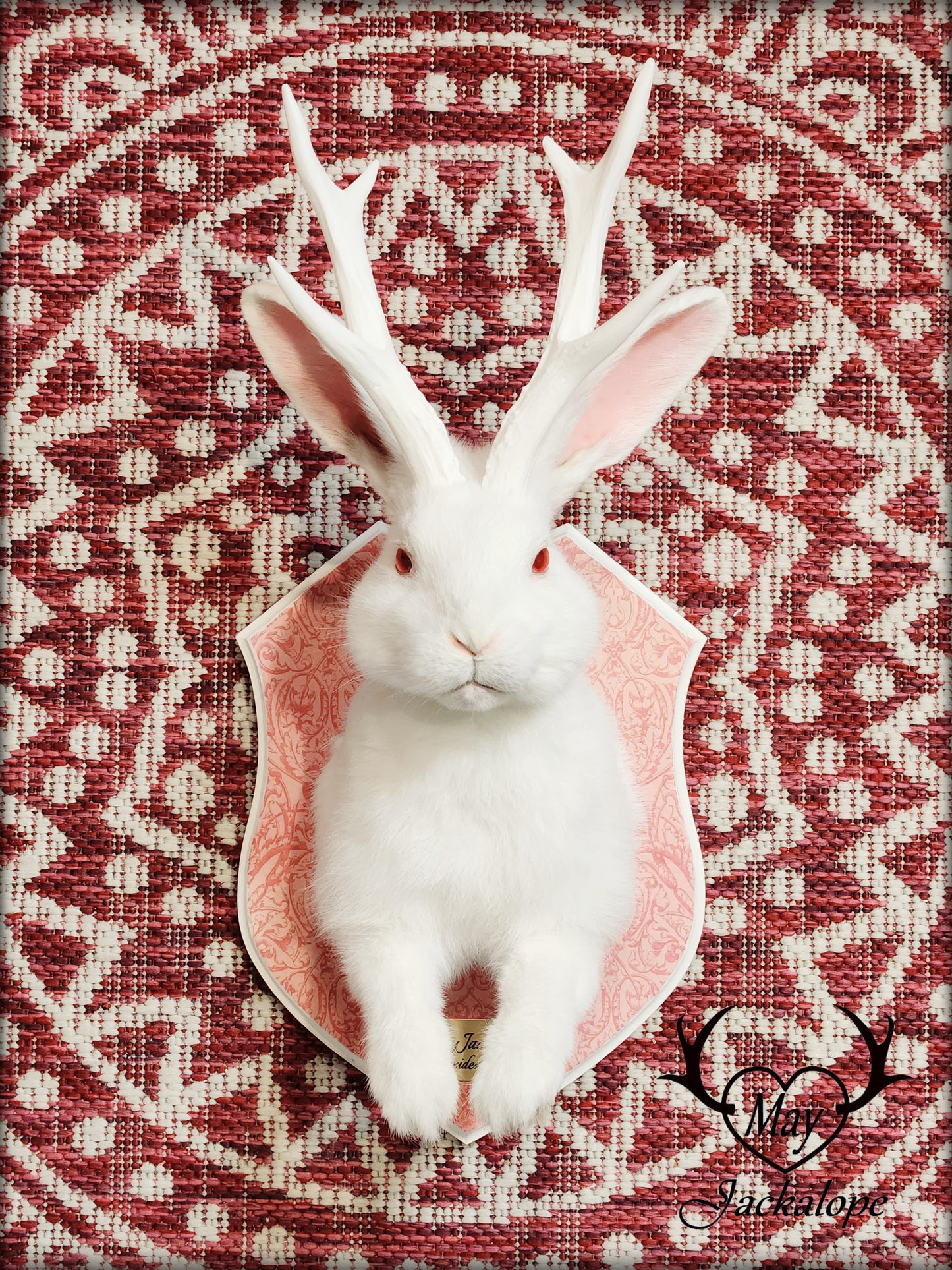 White Jackalope taxidermy with white antlers replica & red albino eyes
