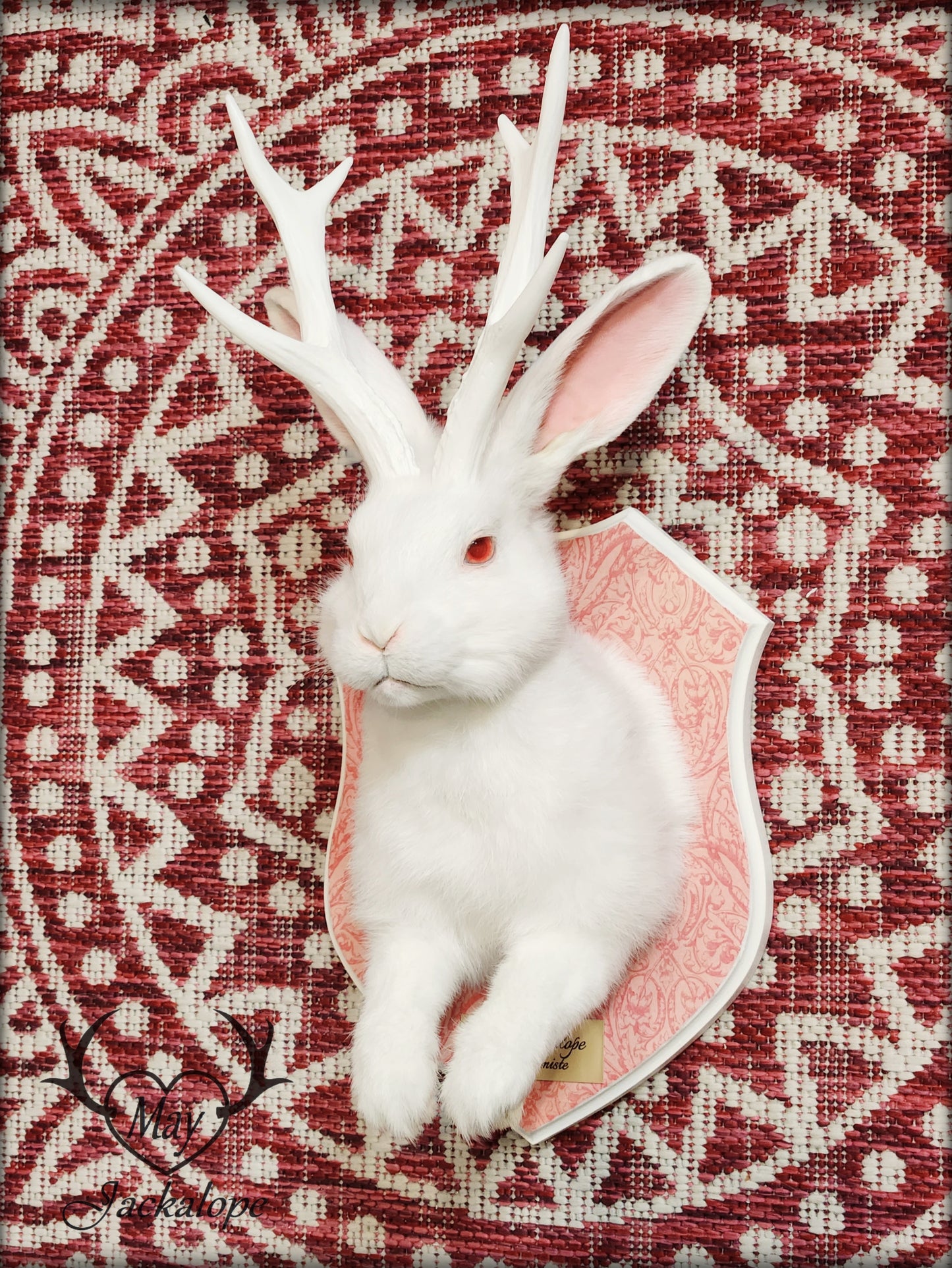 White Jackalope taxidermy with white antlers replica & red albino eyes