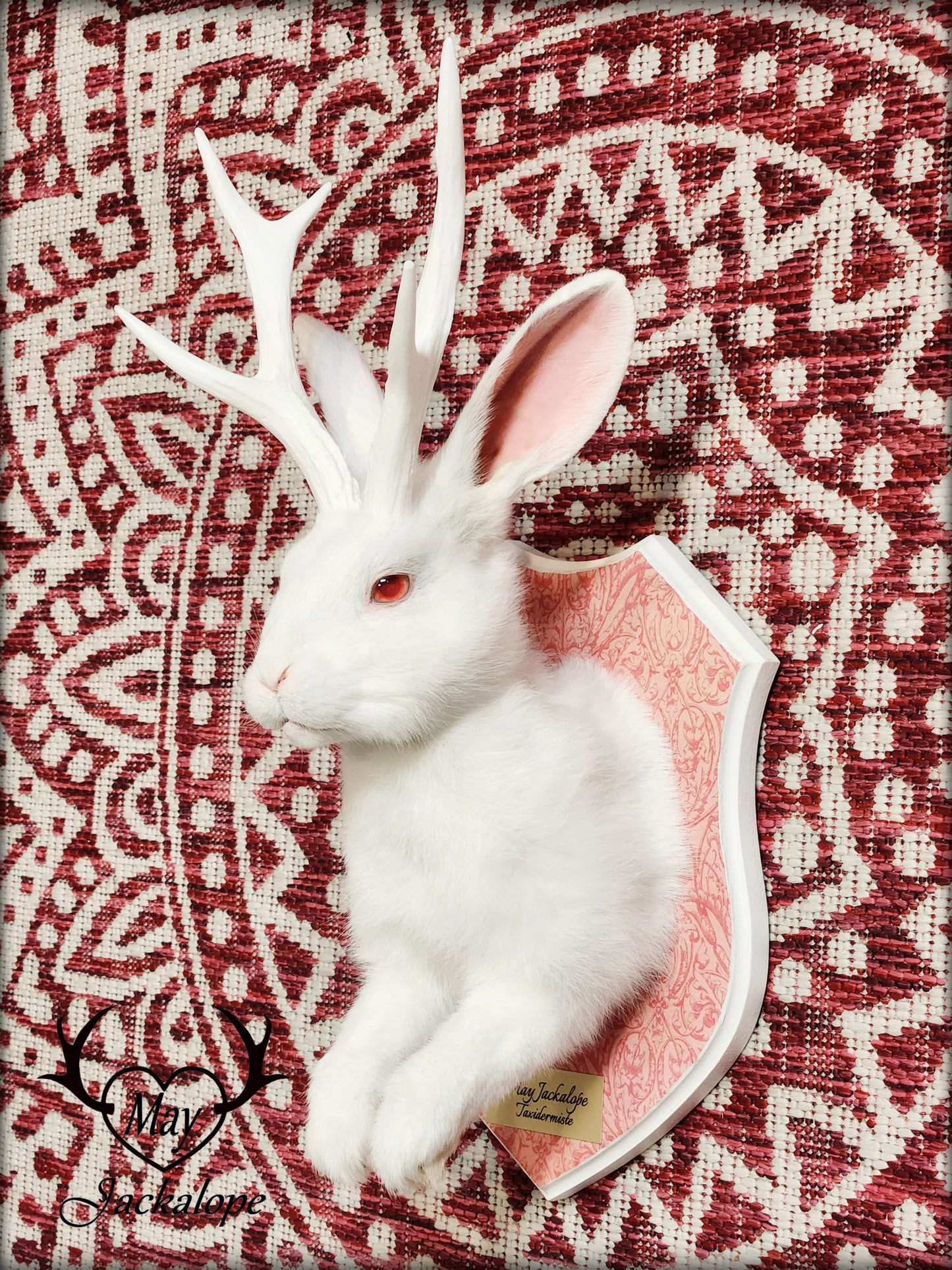 White Jackalope taxidermy with white antlers replica & red albino eyes