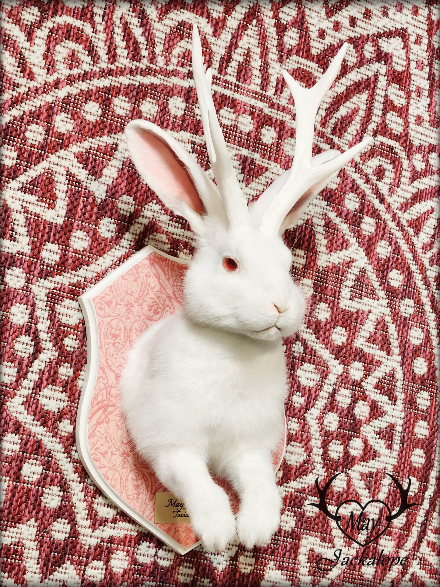 White Jackalope taxidermy with white antlers replica & red albino eyes