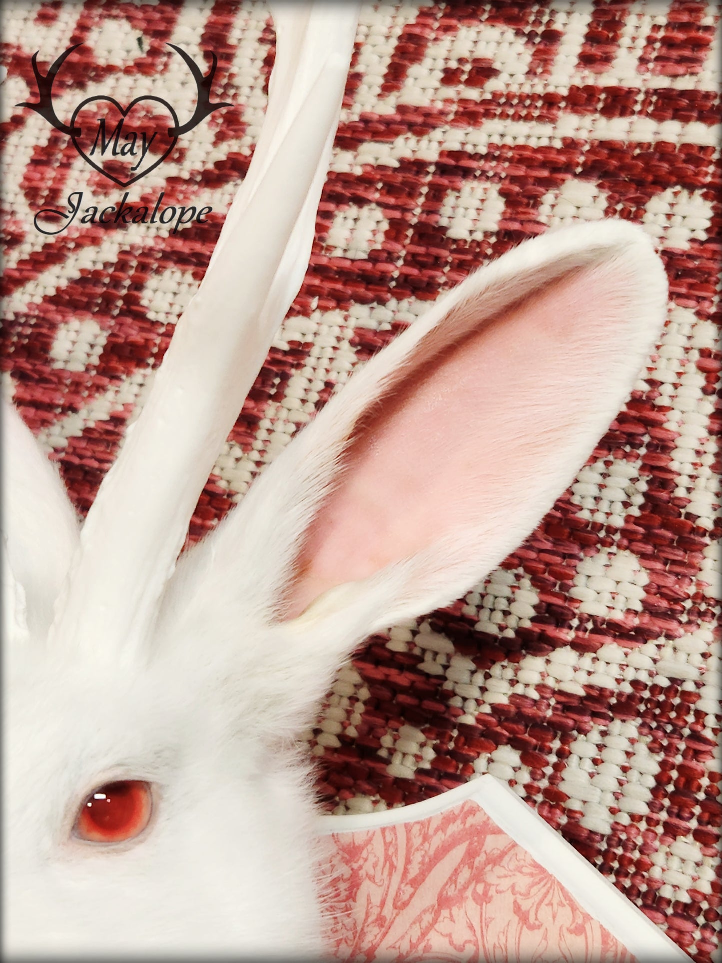 White Jackalope taxidermy with white antlers replica & red albino eyes