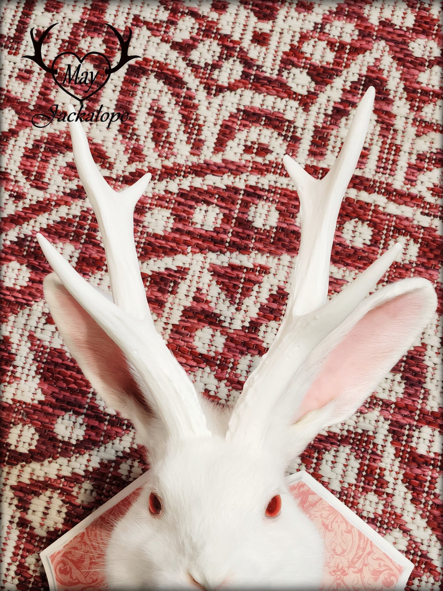 White Jackalope taxidermy with white antlers replica & red albino eyes