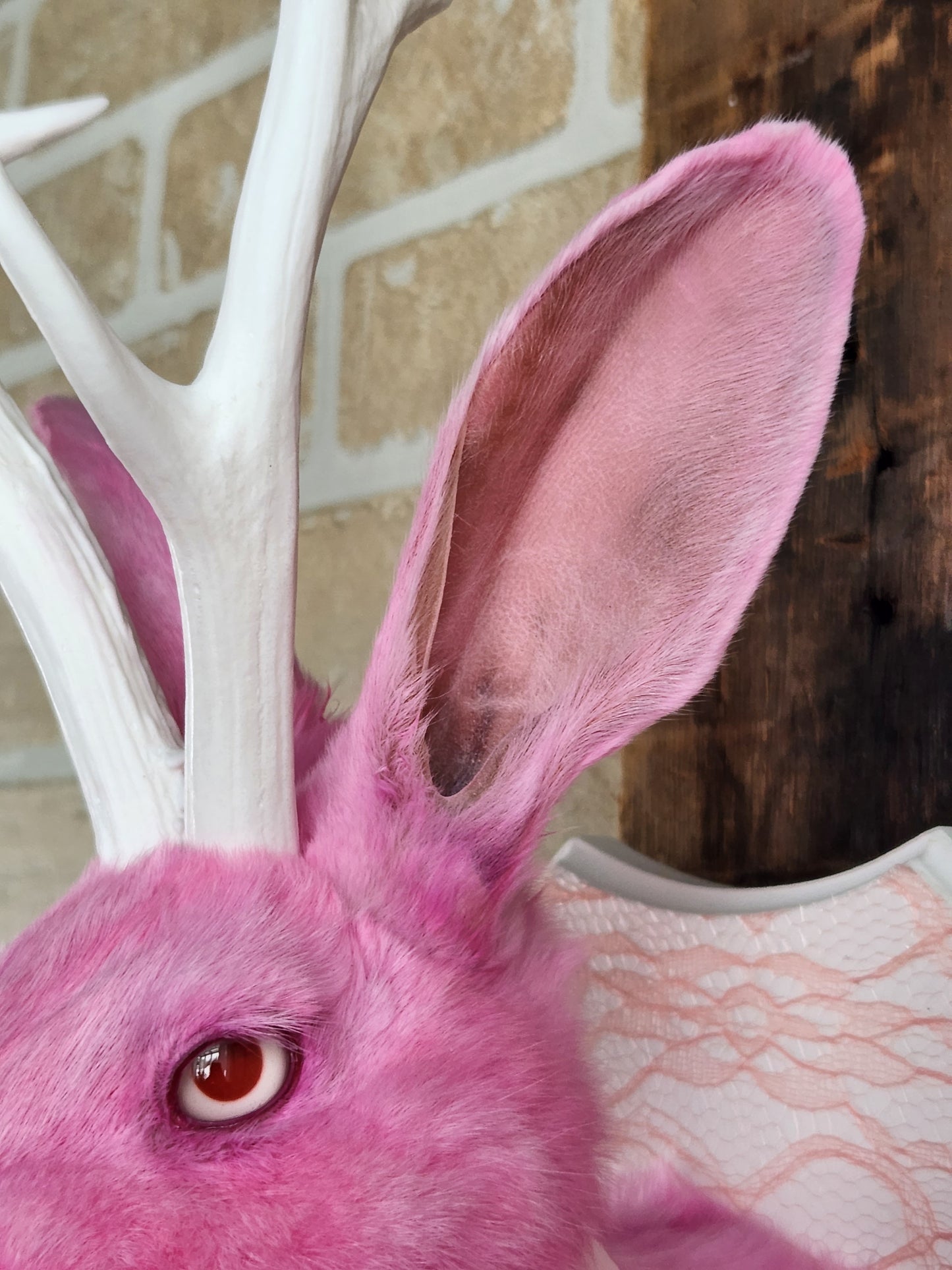Pink Jackalope taxidermy with white antlers replica & red albino eyes