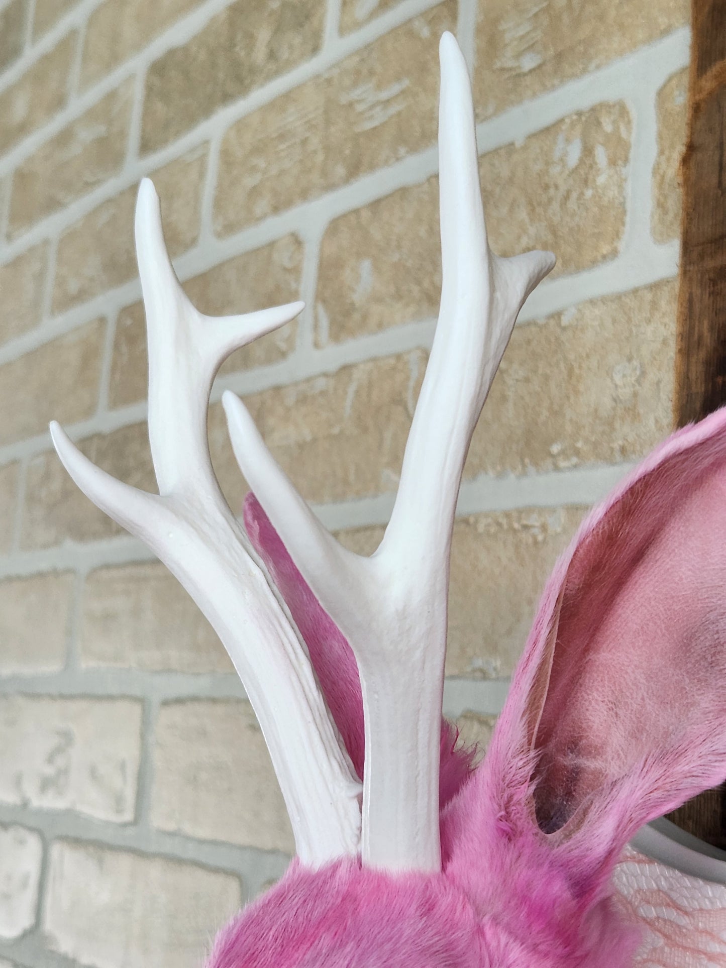 Pink Jackalope taxidermy with white antlers replica & red albino eyes