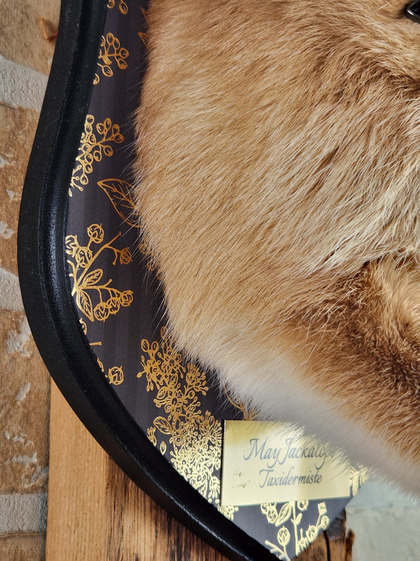 Golden Jackalope taxidermy with 4 horns with golden decorated plaque.