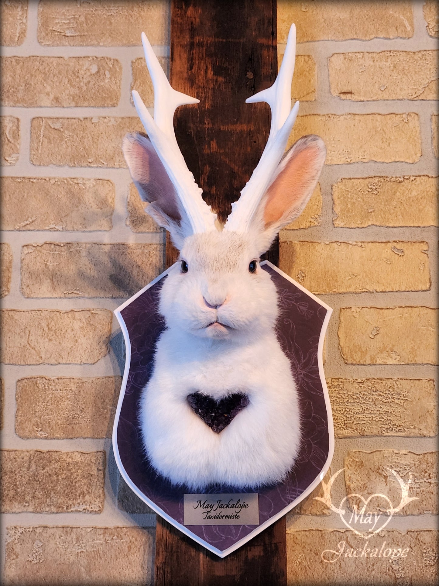White Jackalope taxidermy with white antlers replica & real amethyst heart