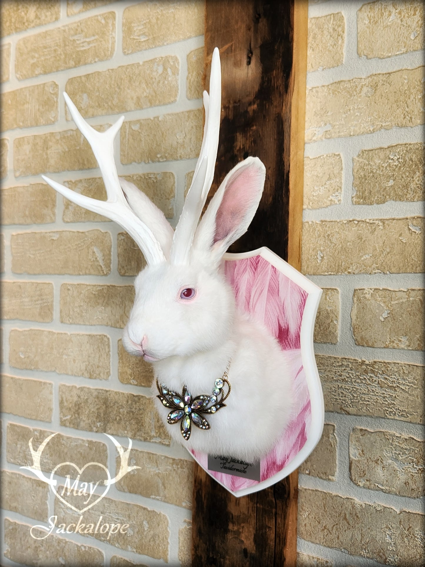 White Jackalope taxidermy with pink albino eyes, white antlers replica & neclace